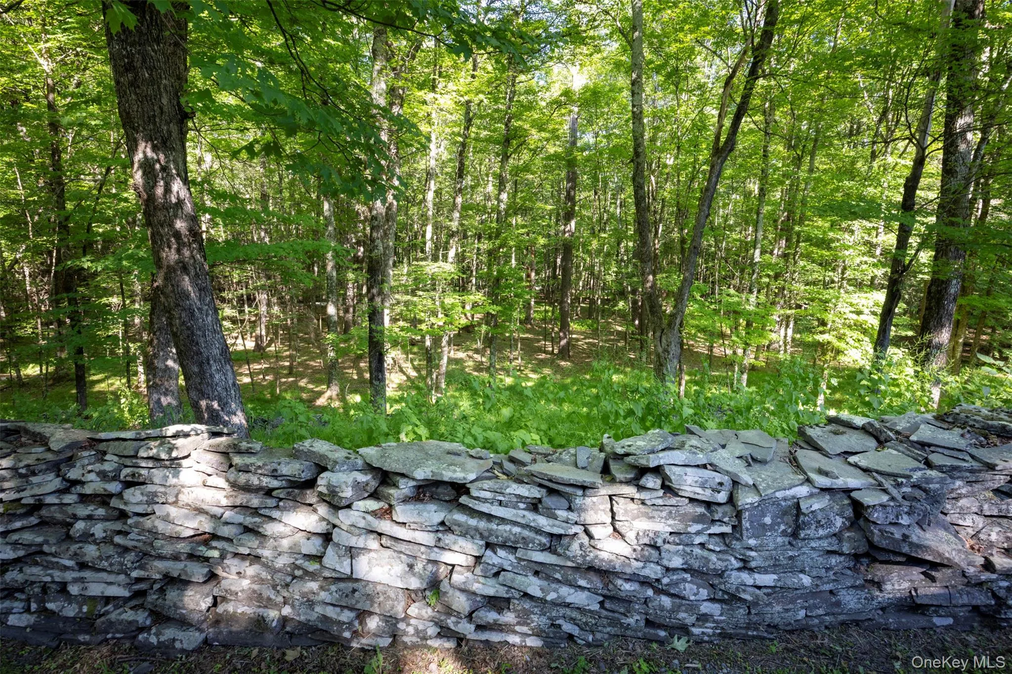 19 Blues Quarry, Woodstock, NY, 4 Bedrooms Bedrooms, 8 Rooms Rooms,3 BathroomsBathrooms,Residential,For Rent,Blues Quarry,0,1006874 19 Blues Quarry, Woodstock, NY, 4 Bedrooms Bedrooms, 8 Rooms Rooms,3 BathroomsBathrooms,Residential,For Rent,Blues Quarry,0,1006874
