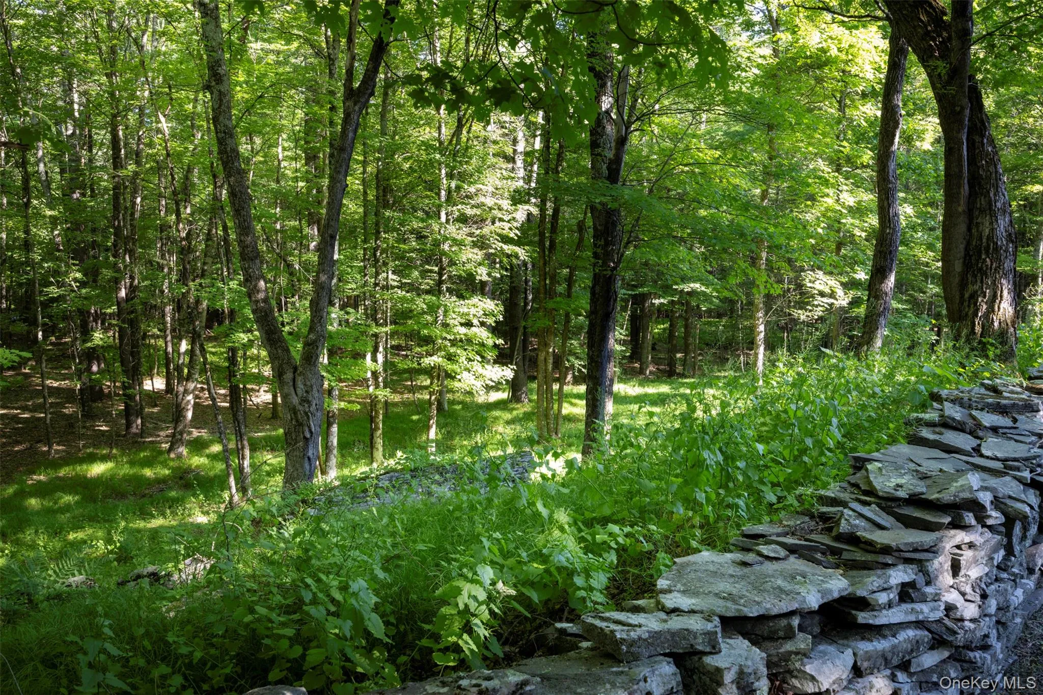 19 Blues Quarry, Woodstock, NY, 4 Bedrooms Bedrooms, 8 Rooms Rooms,3 BathroomsBathrooms,Residential,For Rent,Blues Quarry,0,1006874 19 Blues Quarry, Woodstock, NY, 4 Bedrooms Bedrooms, 8 Rooms Rooms,3 BathroomsBathrooms,Residential,For Rent,Blues Quarry,0,1006874