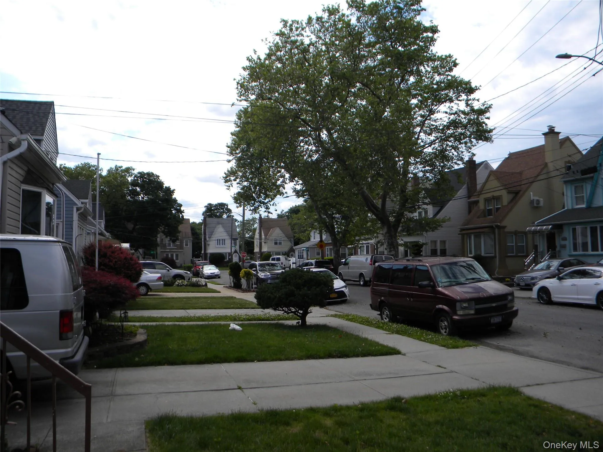 Beautiful tree lined street Beautiful tree lined street