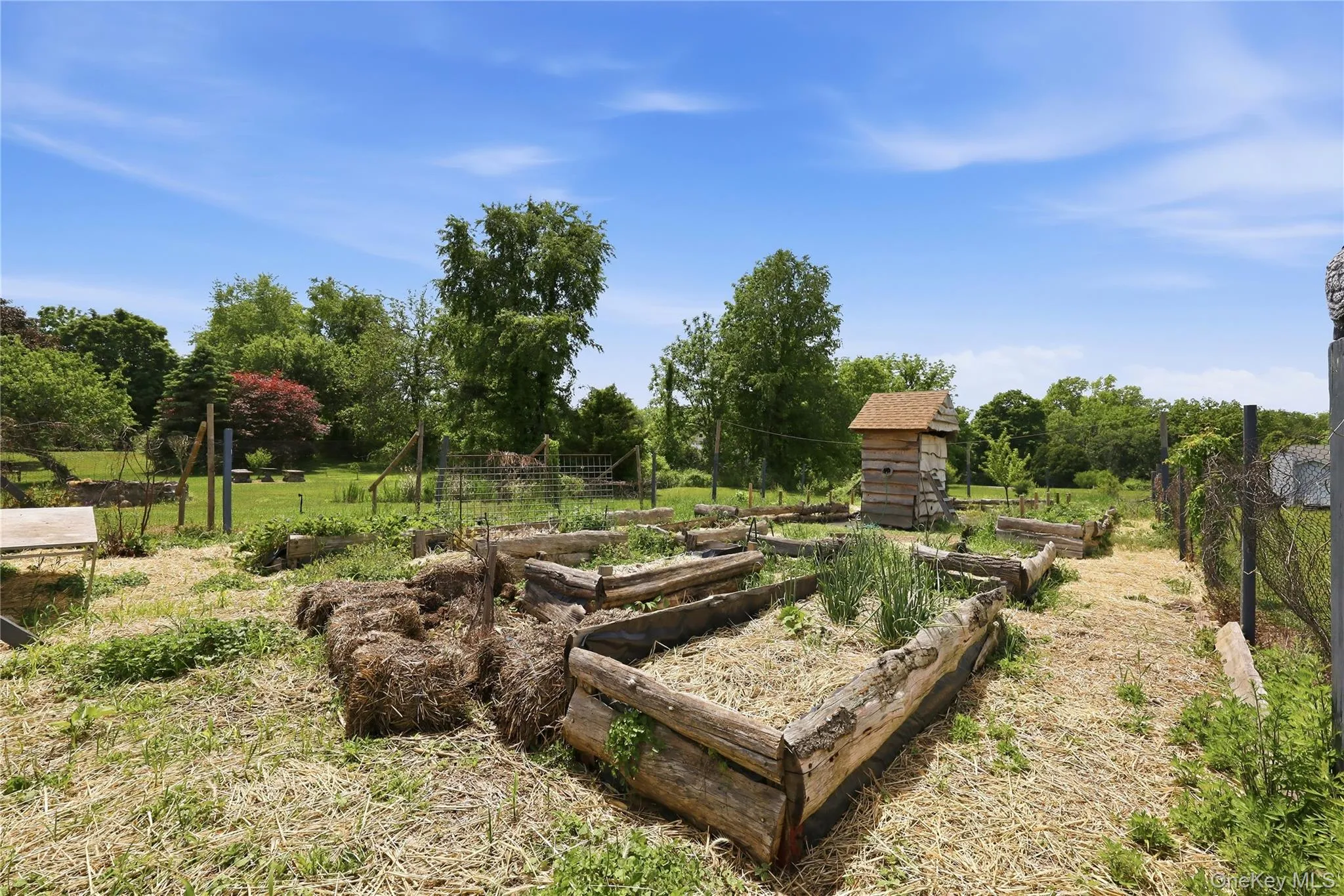 Raised garden beds Raised garden beds
