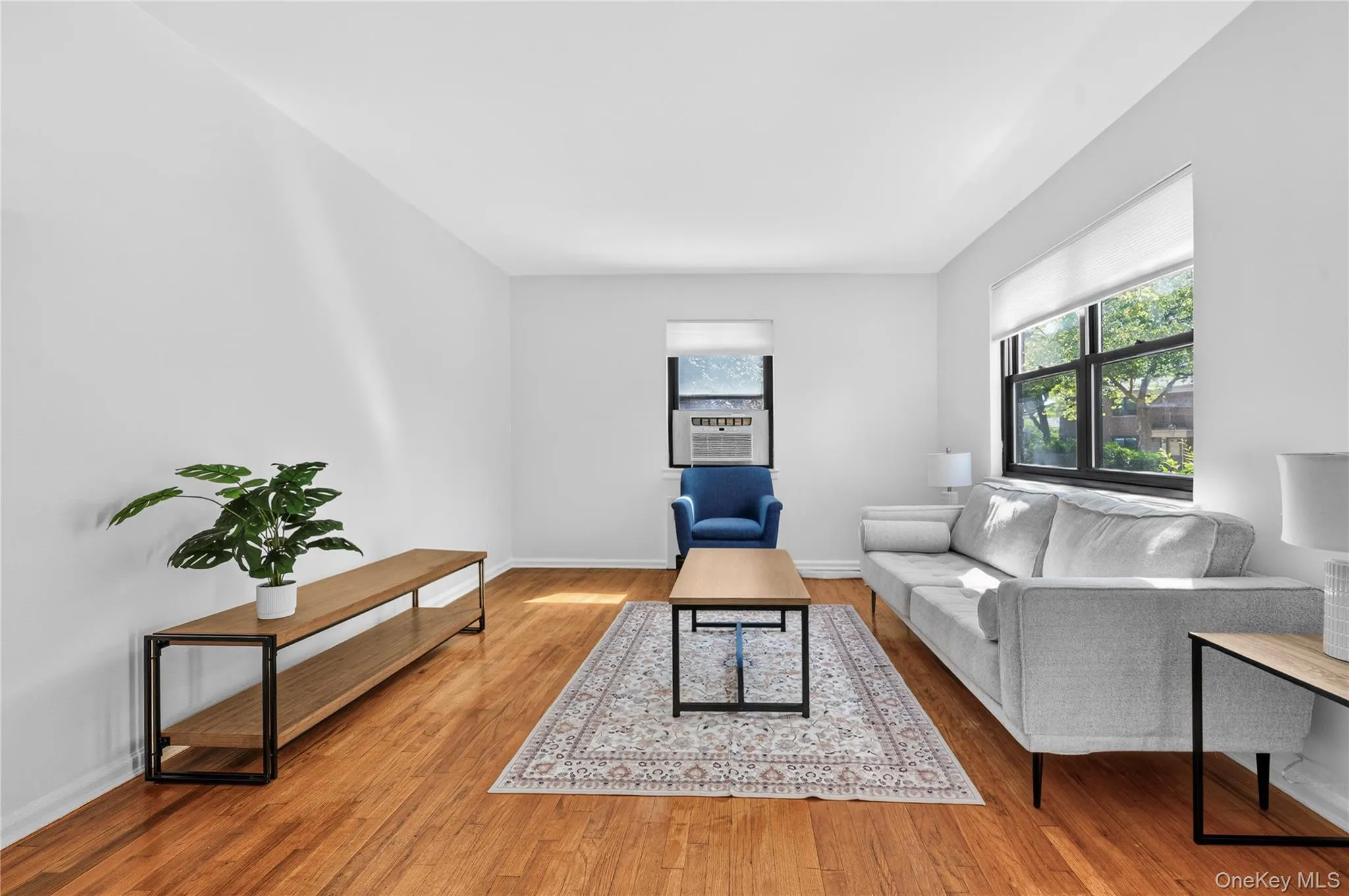 219-58 74th Ave, New York, NY, 2 Bedrooms Bedrooms, 5 Rooms Rooms,1 BathroomBathrooms,Residential,For Rent,74th Ave,0,1006924 219-58 74th Ave, New York, NY, 2 Bedrooms Bedrooms, 5 Rooms Rooms,1 BathroomBathrooms,Residential,For Rent,74th Ave,0,1006924