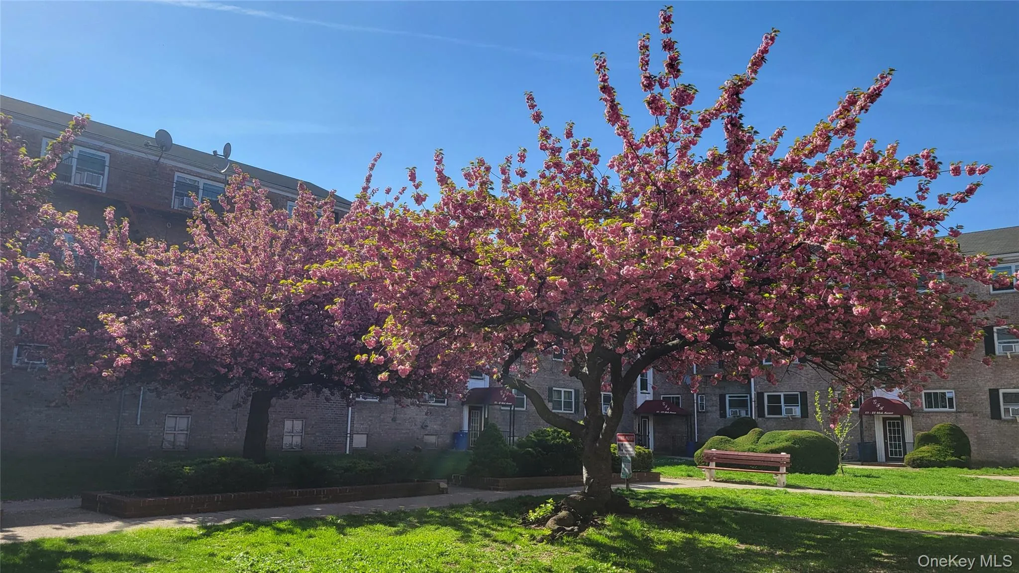 66-10 111 Street, New York, NY, 2 Bedrooms Bedrooms, 5 Rooms Rooms,1 BathroomBathrooms,Residential,For Rent,111,0,1006939 66-10 111 Street, New York, NY, 2 Bedrooms Bedrooms, 5 Rooms Rooms,1 BathroomBathrooms,Residential,For Rent,111,0,1006939
