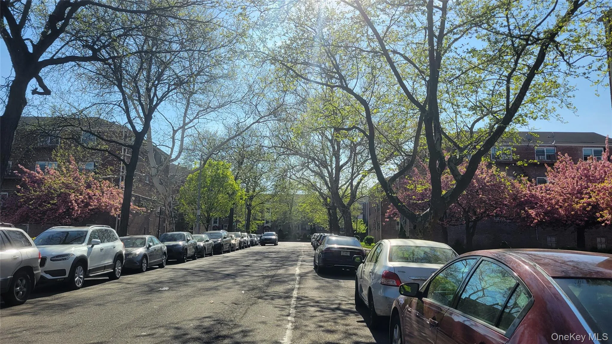 66-10 111 Street, New York, NY, 2 Bedrooms Bedrooms, 5 Rooms Rooms,1 BathroomBathrooms,Residential,For Rent,111,0,1006939 66-10 111 Street, New York, NY, 2 Bedrooms Bedrooms, 5 Rooms Rooms,1 BathroomBathrooms,Residential,For Rent,111,0,1006939
