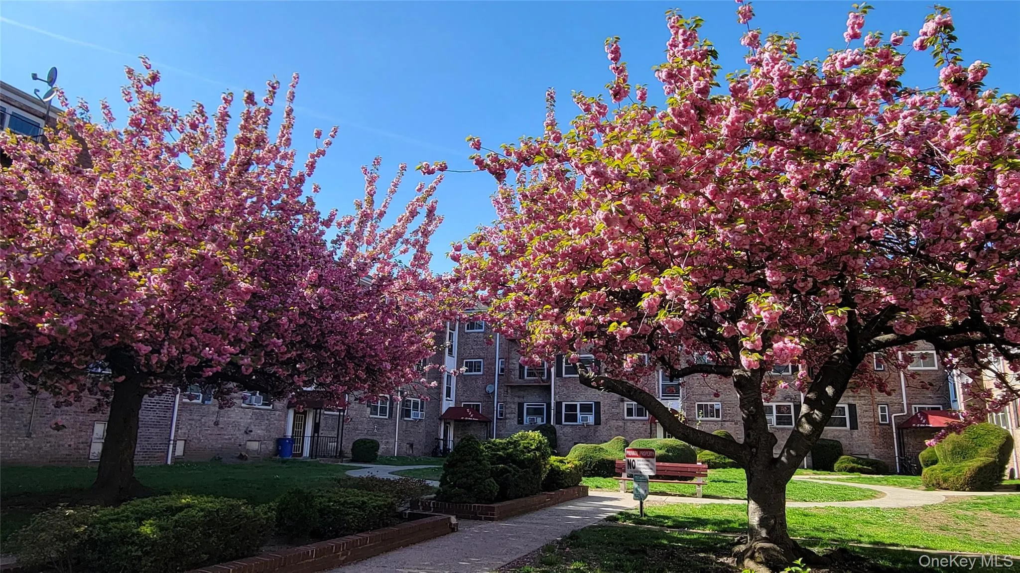66-10 111 Street, New York, NY, 2 Bedrooms Bedrooms, 5 Rooms Rooms,1 BathroomBathrooms,Residential,For Rent,111,0,1006939 66-10 111 Street, New York, NY, 2 Bedrooms Bedrooms, 5 Rooms Rooms,1 BathroomBathrooms,Residential,For Rent,111,0,1006939