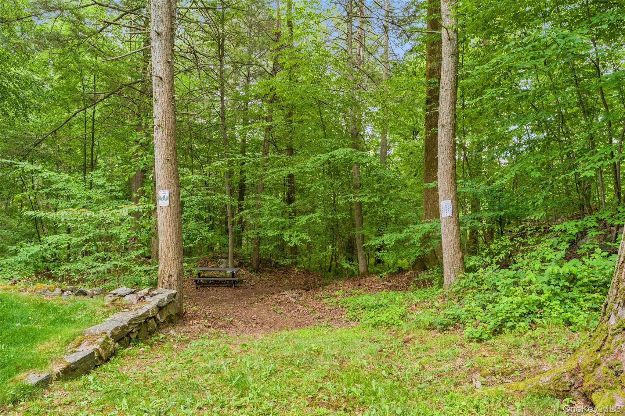 25 Cabin Ridge Road, New Castle, NY, 3 Bedrooms Bedrooms, 6 Rooms Rooms,3 BathroomsBathrooms,Residential,For Rent,Cabin Ridge,0,1006943 25 Cabin Ridge Road, New Castle, NY, 3 Bedrooms Bedrooms, 6 Rooms Rooms,3 BathroomsBathrooms,Residential,For Rent,Cabin Ridge,0,1006943
