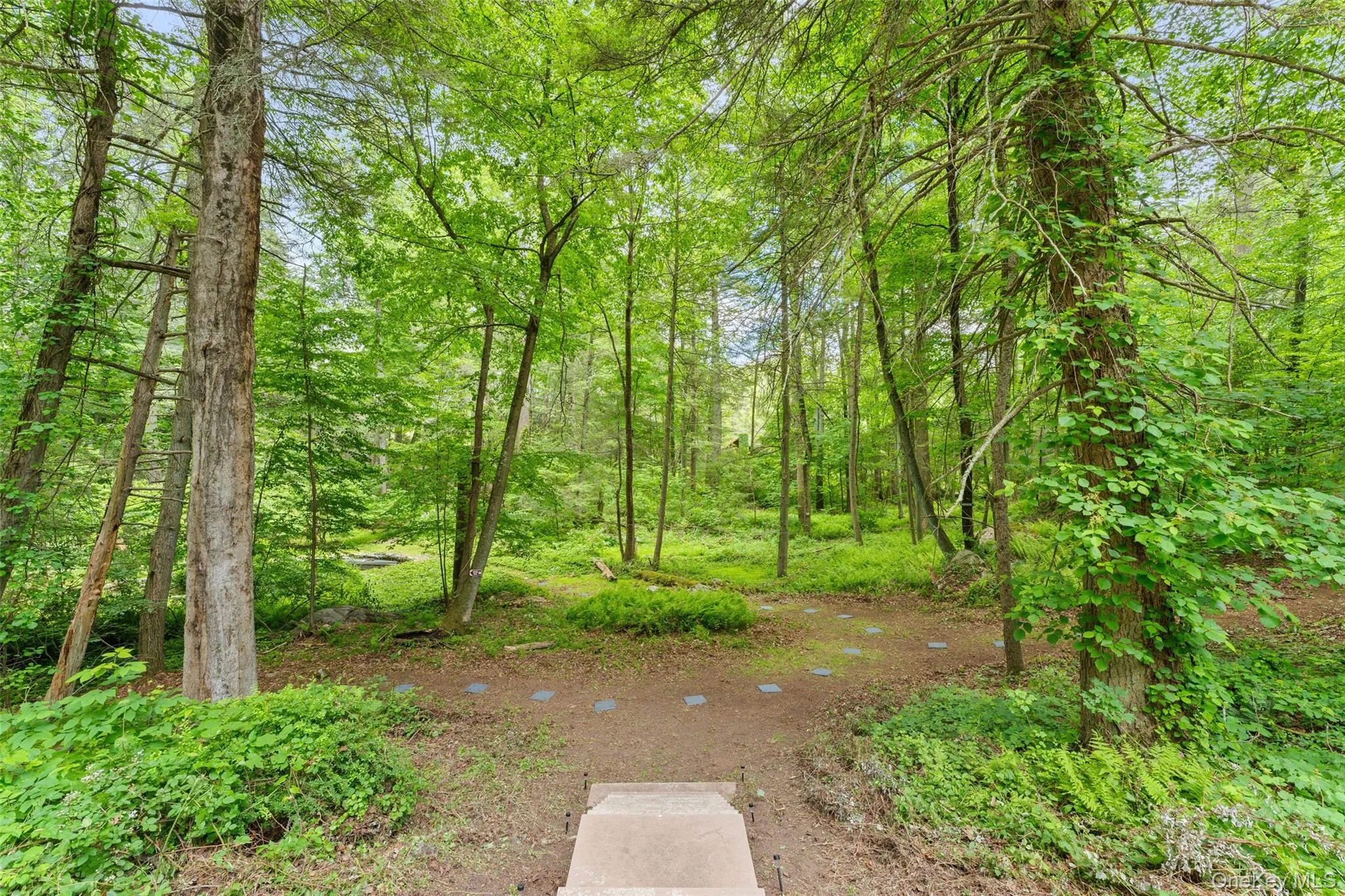 25 Cabin Ridge Road, New Castle, NY, 3 Bedrooms Bedrooms, 6 Rooms Rooms,3 BathroomsBathrooms,Residential,For Rent,Cabin Ridge,0,1006943 25 Cabin Ridge Road, New Castle, NY, 3 Bedrooms Bedrooms, 6 Rooms Rooms,3 BathroomsBathrooms,Residential,For Rent,Cabin Ridge,0,1006943