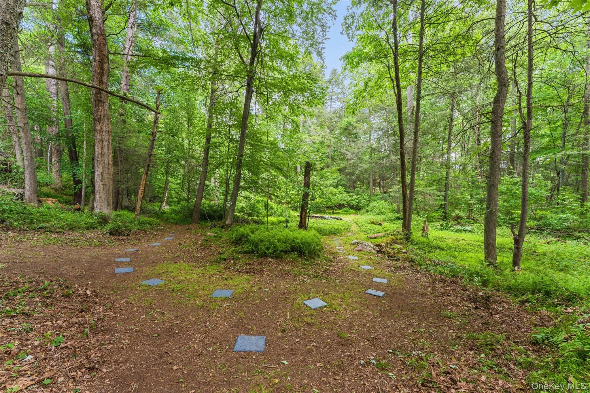 25 Cabin Ridge Road, New Castle, NY, 3 Bedrooms Bedrooms, 6 Rooms Rooms,3 BathroomsBathrooms,Residential,For Rent,Cabin Ridge,0,1006943 25 Cabin Ridge Road, New Castle, NY, 3 Bedrooms Bedrooms, 6 Rooms Rooms,3 BathroomsBathrooms,Residential,For Rent,Cabin Ridge,0,1006943
