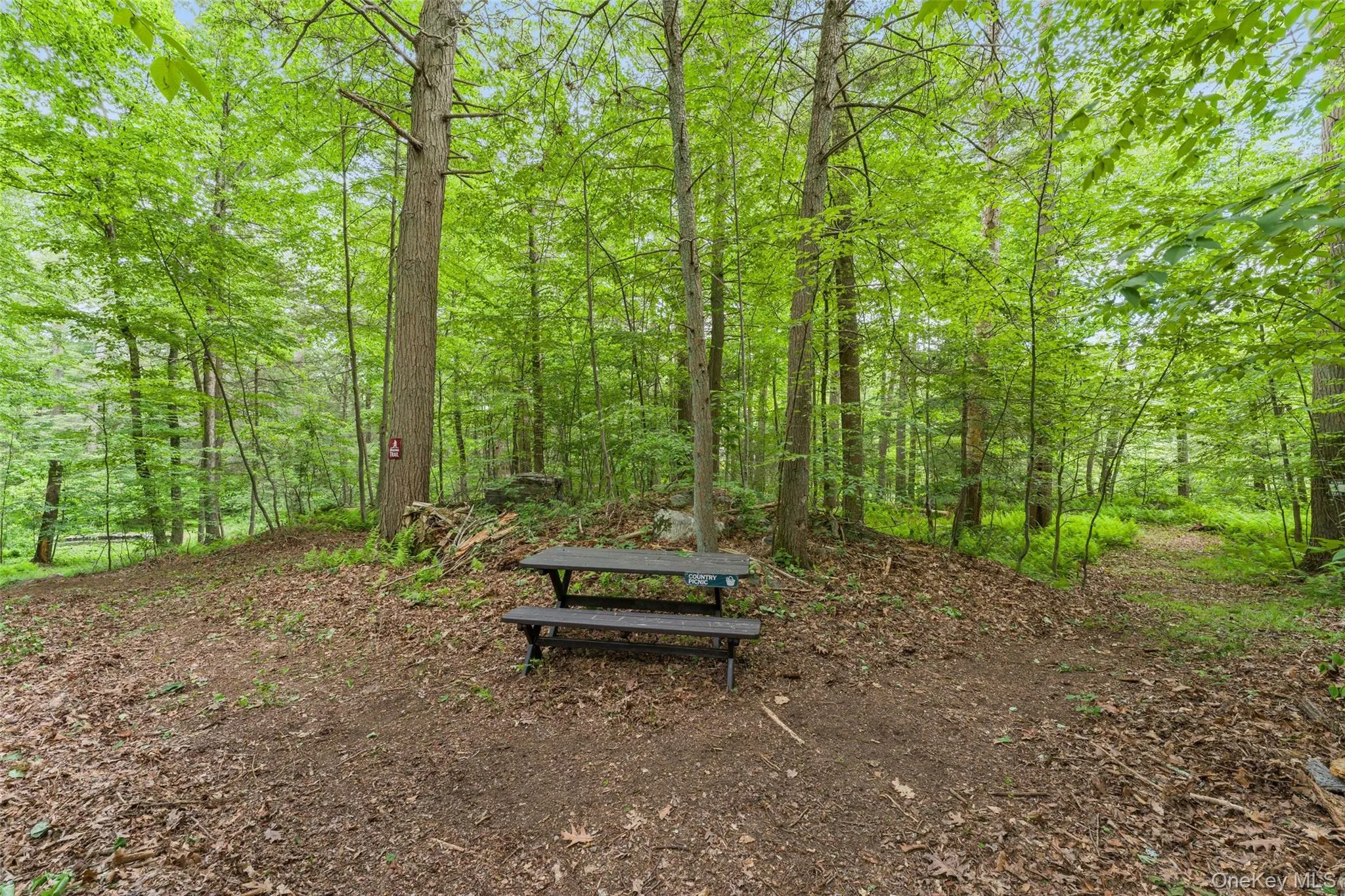 25 Cabin Ridge Road, New Castle, NY, 3 Bedrooms Bedrooms, 6 Rooms Rooms,3 BathroomsBathrooms,Residential,For Rent,Cabin Ridge,0,1006943 25 Cabin Ridge Road, New Castle, NY, 3 Bedrooms Bedrooms, 6 Rooms Rooms,3 BathroomsBathrooms,Residential,For Rent,Cabin Ridge,0,1006943