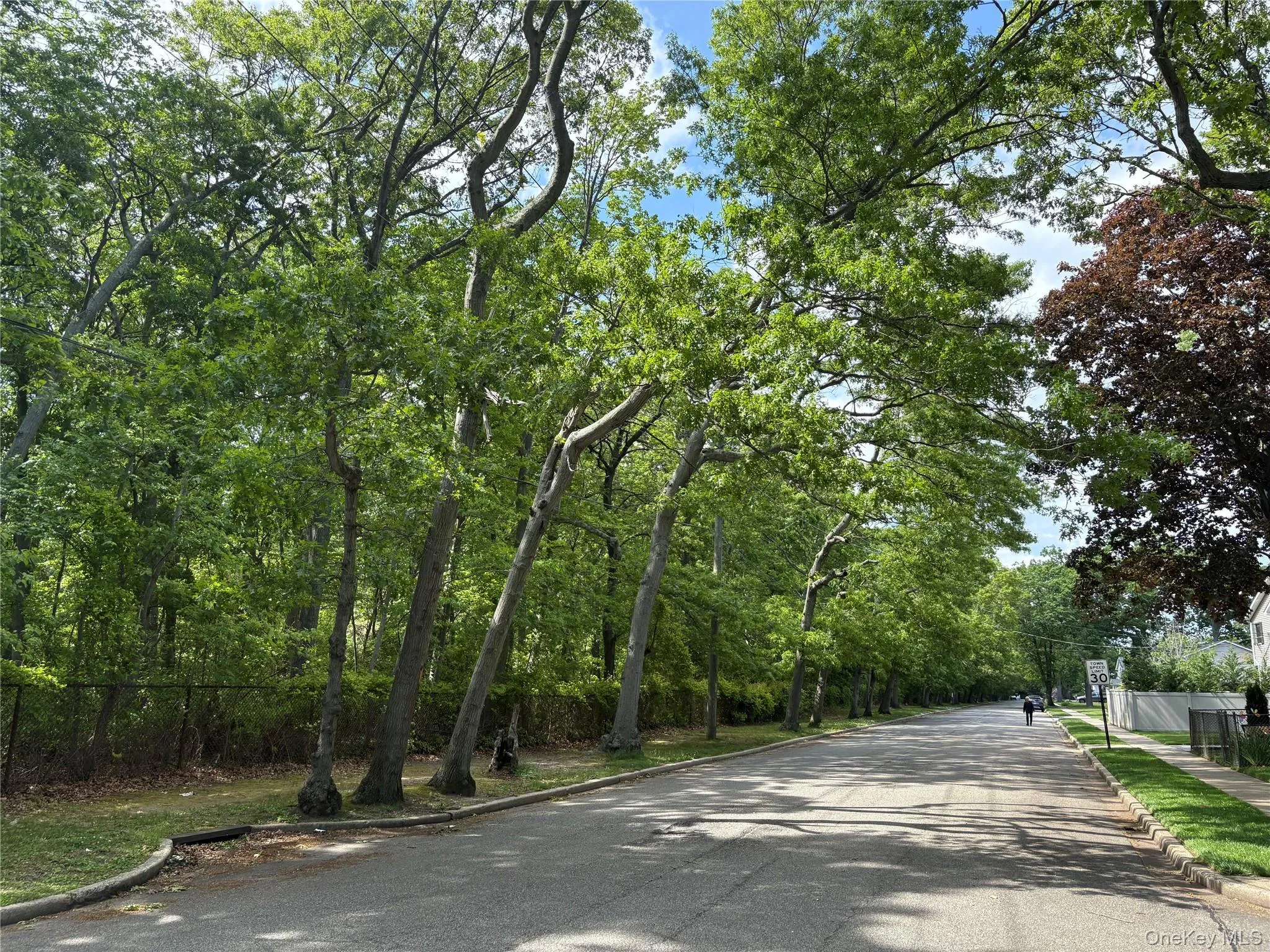 66 Euclid Avenue, Oyster Bay, NY, 5 Bedrooms Bedrooms, 9 Rooms Rooms,3 BathroomsBathrooms,Residential,For Rent,Euclid,0,1006975 66 Euclid Avenue, Oyster Bay, NY, 5 Bedrooms Bedrooms, 9 Rooms Rooms,3 BathroomsBathrooms,Residential,For Rent,Euclid,0,1006975