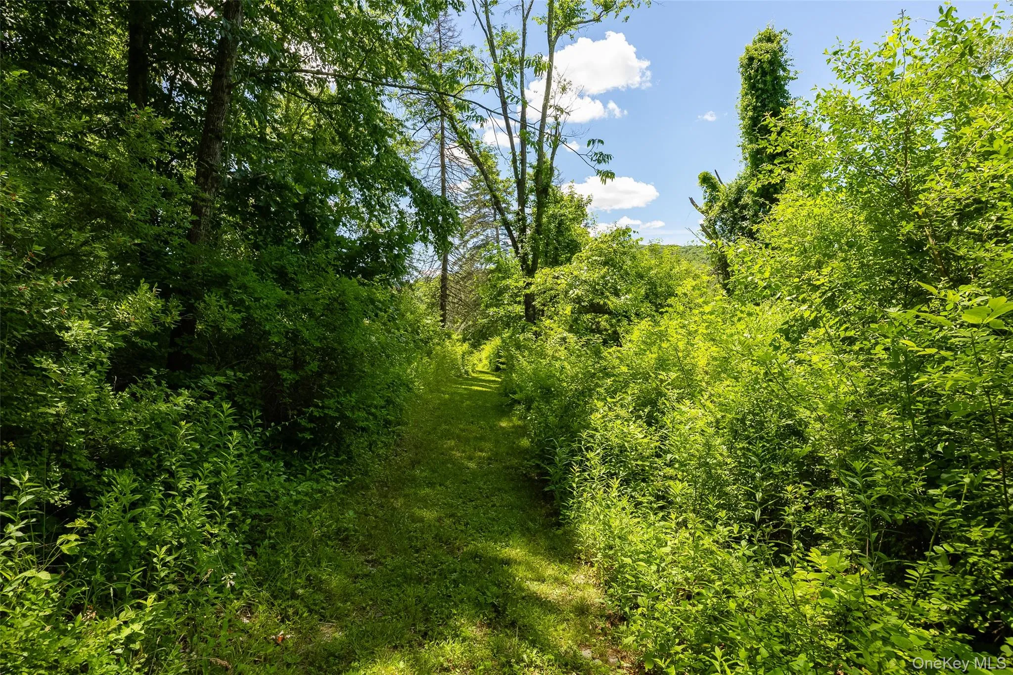 229 Clove Road, Union Vale, NY, 4 Bedrooms Bedrooms, 13 Rooms Rooms,2 BathroomsBathrooms,Residential,For Rent,Clove,0,KEY1006979 229 Clove Road, Union Vale, NY, 4 Bedrooms Bedrooms, 13 Rooms Rooms,2 BathroomsBathrooms,Residential,For Rent,Clove,0,KEY1006979