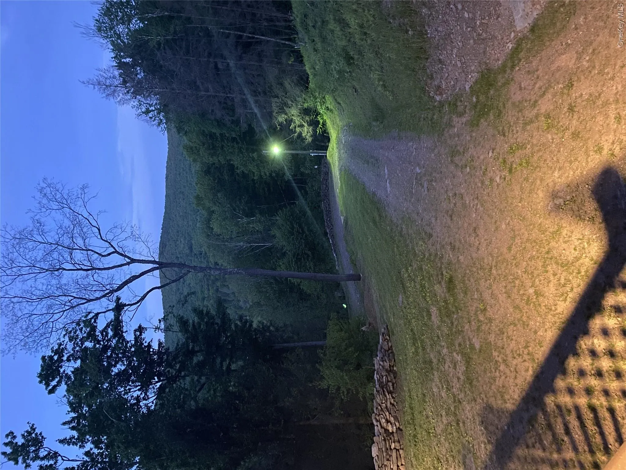 Night view of yard and driveway Night view of yard and driveway