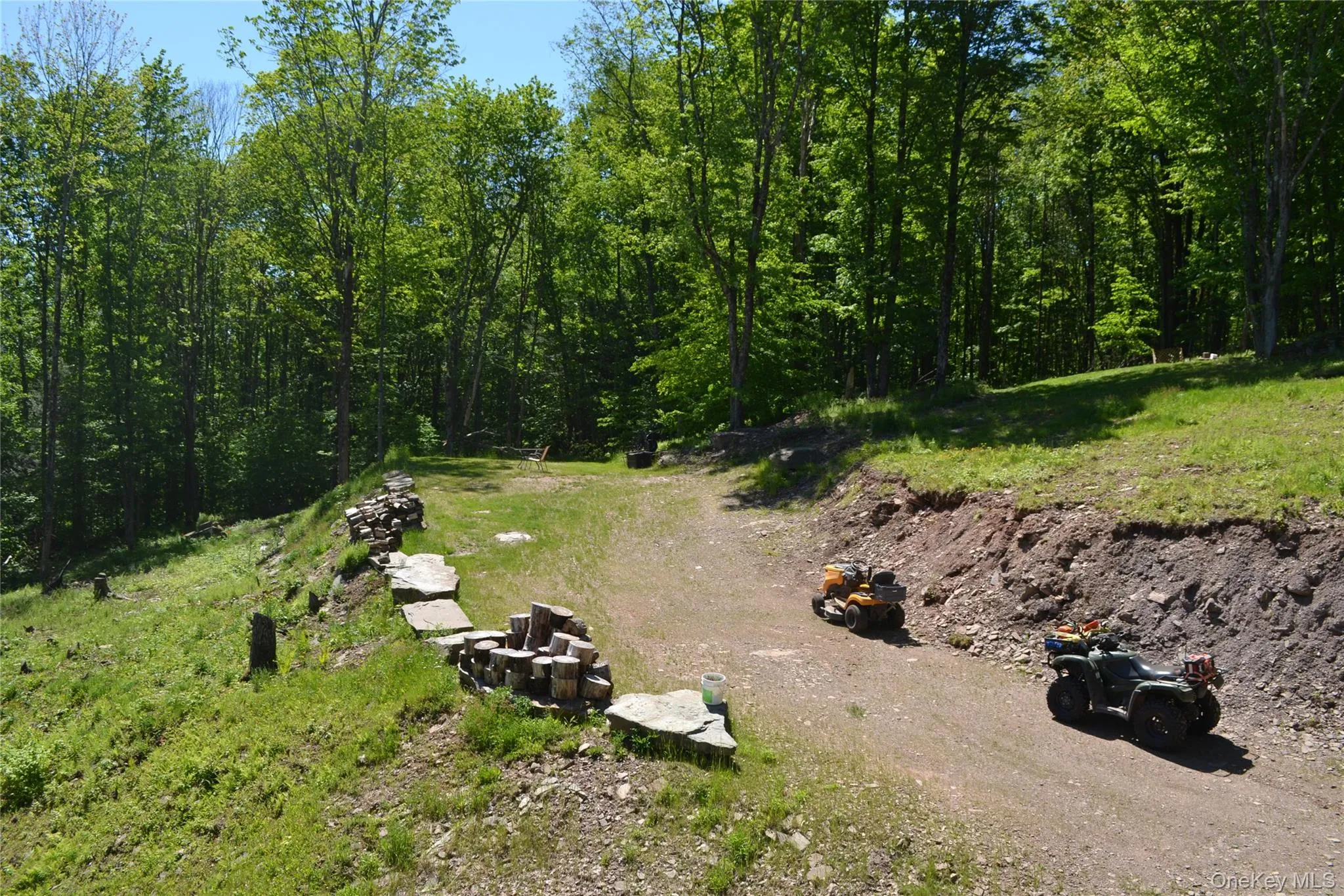 Driveway to upper level of backyard Driveway to upper level of backyard