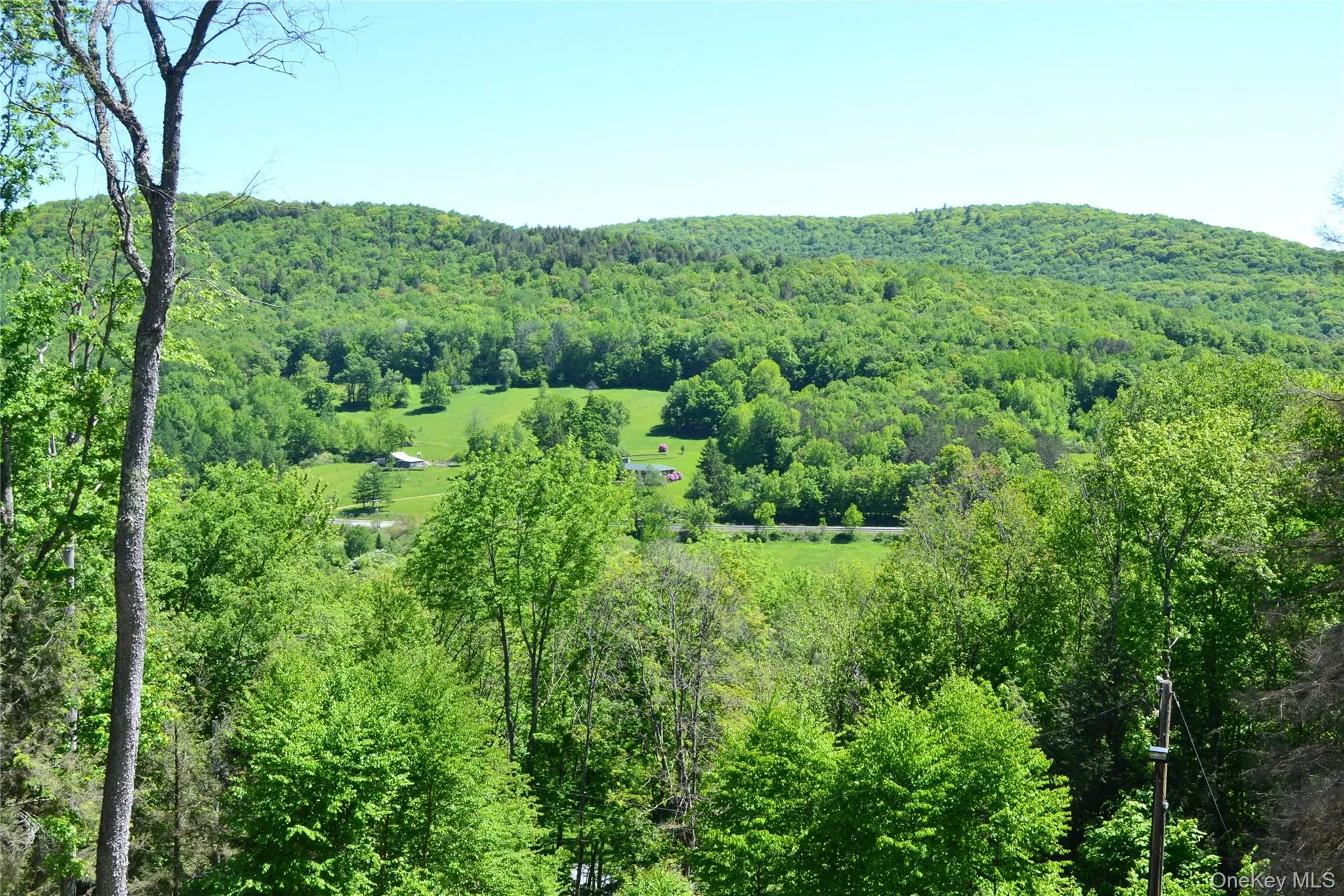 Long Range mountain views Long Range mountain views