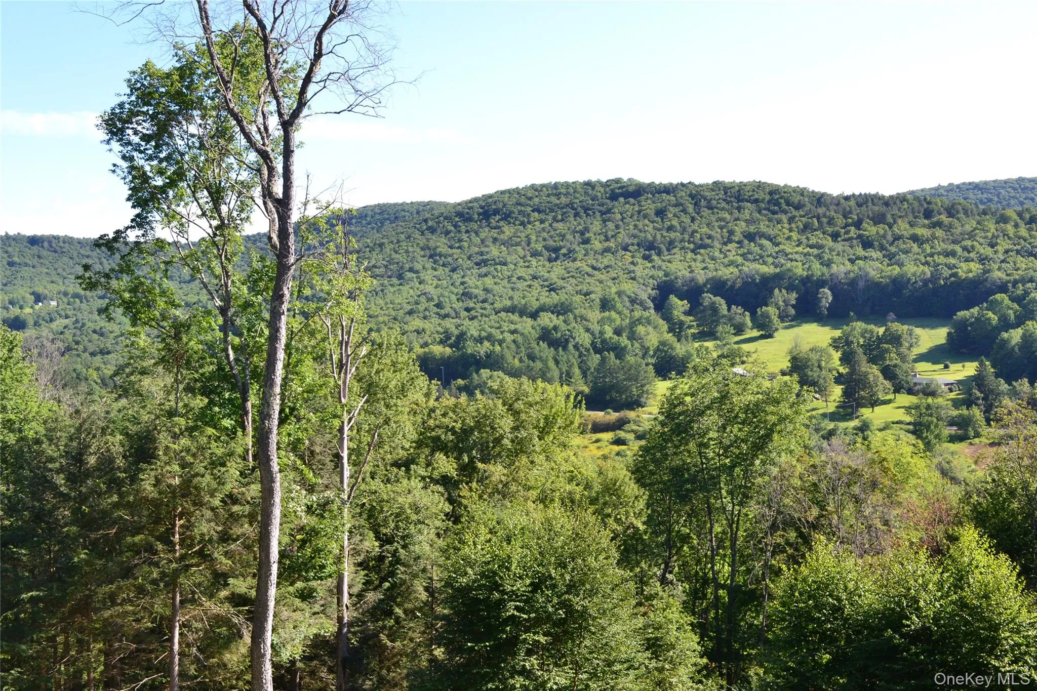 Views of hills in Hamden, NY Views of hills in Hamden, NY