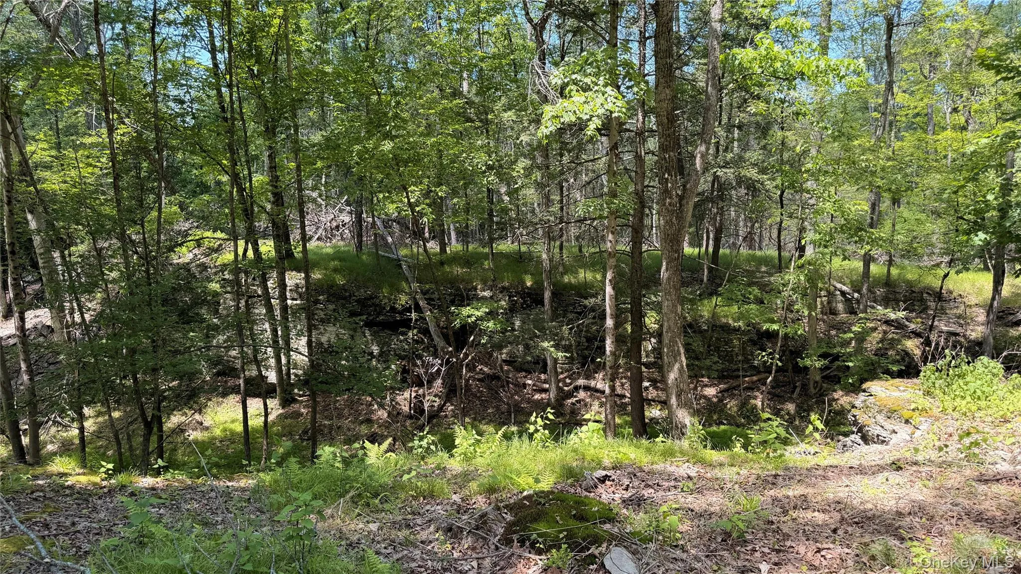 890 Lapla Road, Marbletown, NY, 3 Bedrooms Bedrooms, 7 Rooms Rooms,2 BathroomsBathrooms,Residential,For Rent,Lapla,0,1007002 890 Lapla Road, Marbletown, NY, 3 Bedrooms Bedrooms, 7 Rooms Rooms,2 BathroomsBathrooms,Residential,For Rent,Lapla,0,1007002