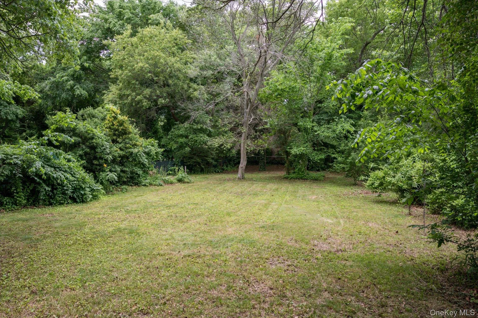 1644 Meadowbrook Road, Hempstead, NY, 4 Bedrooms Bedrooms, 7 Rooms Rooms,2 BathroomsBathrooms,Residential,For Rent,Meadowbrook,0,1007012 1644 Meadowbrook Road, Hempstead, NY, 4 Bedrooms Bedrooms, 7 Rooms Rooms,2 BathroomsBathrooms,Residential,For Rent,Meadowbrook,0,1007012
