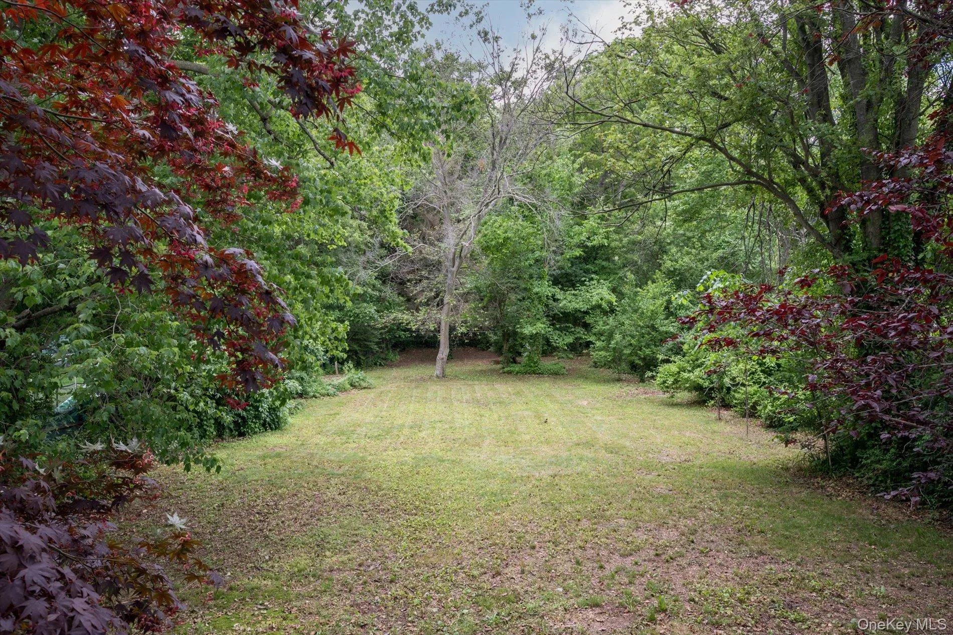 1644 Meadowbrook Road, Hempstead, NY, 4 Bedrooms Bedrooms, 7 Rooms Rooms,2 BathroomsBathrooms,Residential,For Rent,Meadowbrook,0,1007012 1644 Meadowbrook Road, Hempstead, NY, 4 Bedrooms Bedrooms, 7 Rooms Rooms,2 BathroomsBathrooms,Residential,For Rent,Meadowbrook,0,1007012
