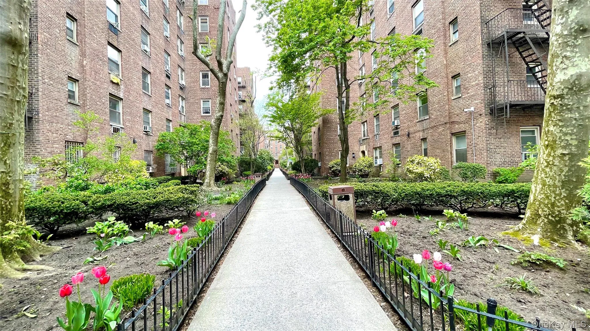 48-42 44th Street, New York, NY, 1 Bedroom Bedrooms, 4 Rooms Rooms,1 BathroomBathrooms,Residential,For Rent,44th Street,0,1007021 48-42 44th Street, New York, NY, 1 Bedroom Bedrooms, 4 Rooms Rooms,1 BathroomBathrooms,Residential,For Rent,44th Street,0,1007021