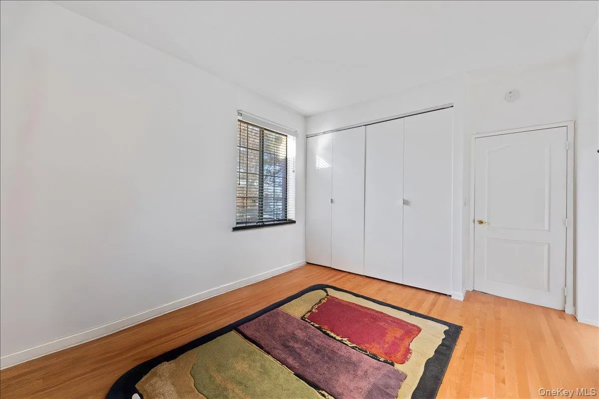 566 Louisiana Avenue, New York, NY, 3 Bedrooms Bedrooms, 6 Rooms Rooms,2 BathroomsBathrooms,Residential,For Rent,Louisiana,0,1007083 566 Louisiana Avenue, New York, NY, 3 Bedrooms Bedrooms, 6 Rooms Rooms,2 BathroomsBathrooms,Residential,For Rent,Louisiana,0,1007083