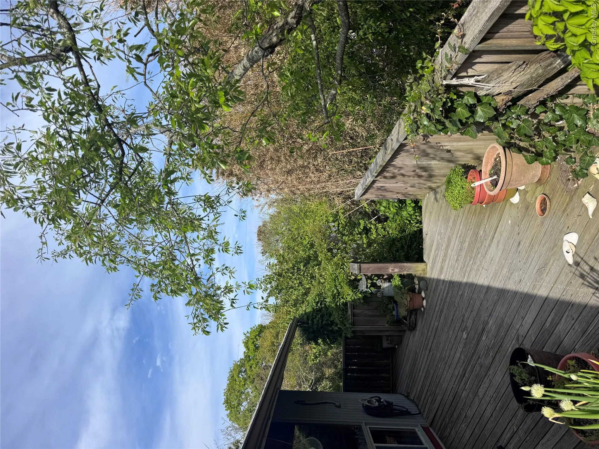 780 Surf Road, Islip, NY, 3 Bedrooms Bedrooms, 7 Rooms Rooms,2 BathroomsBathrooms,Residential,For Rent,Surf,0,1007087 780 Surf Road, Islip, NY, 3 Bedrooms Bedrooms, 7 Rooms Rooms,2 BathroomsBathrooms,Residential,For Rent,Surf,0,1007087