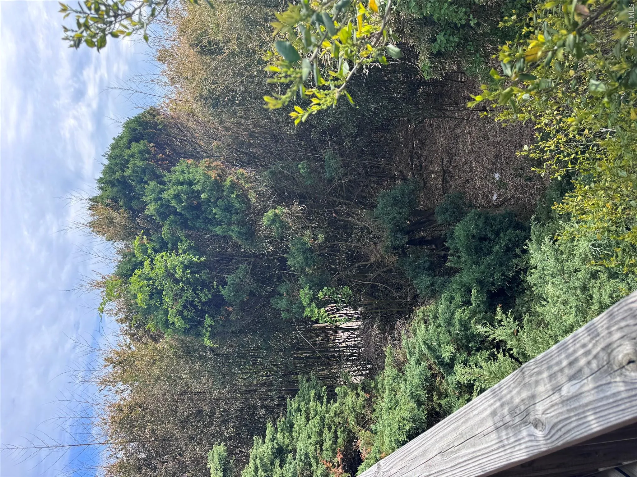 780 Surf Road, Islip, NY, 3 Bedrooms Bedrooms, 7 Rooms Rooms,2 BathroomsBathrooms,Residential,For Rent,Surf,0,1007087 780 Surf Road, Islip, NY, 3 Bedrooms Bedrooms, 7 Rooms Rooms,2 BathroomsBathrooms,Residential,For Rent,Surf,0,1007087