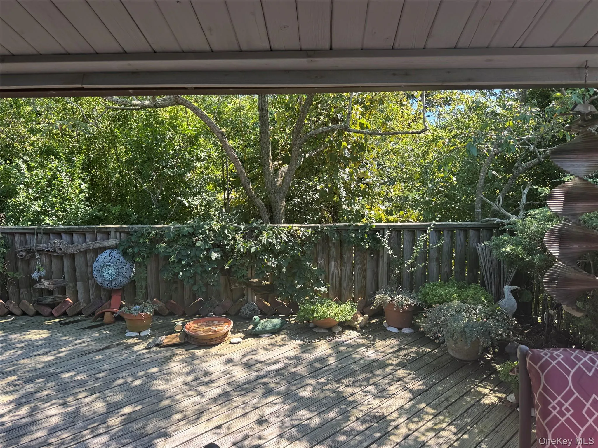780 Surf Road, Islip, NY, 3 Bedrooms Bedrooms, 7 Rooms Rooms,2 BathroomsBathrooms,Residential,For Rent,Surf,0,1007087 780 Surf Road, Islip, NY, 3 Bedrooms Bedrooms, 7 Rooms Rooms,2 BathroomsBathrooms,Residential,For Rent,Surf,0,1007087