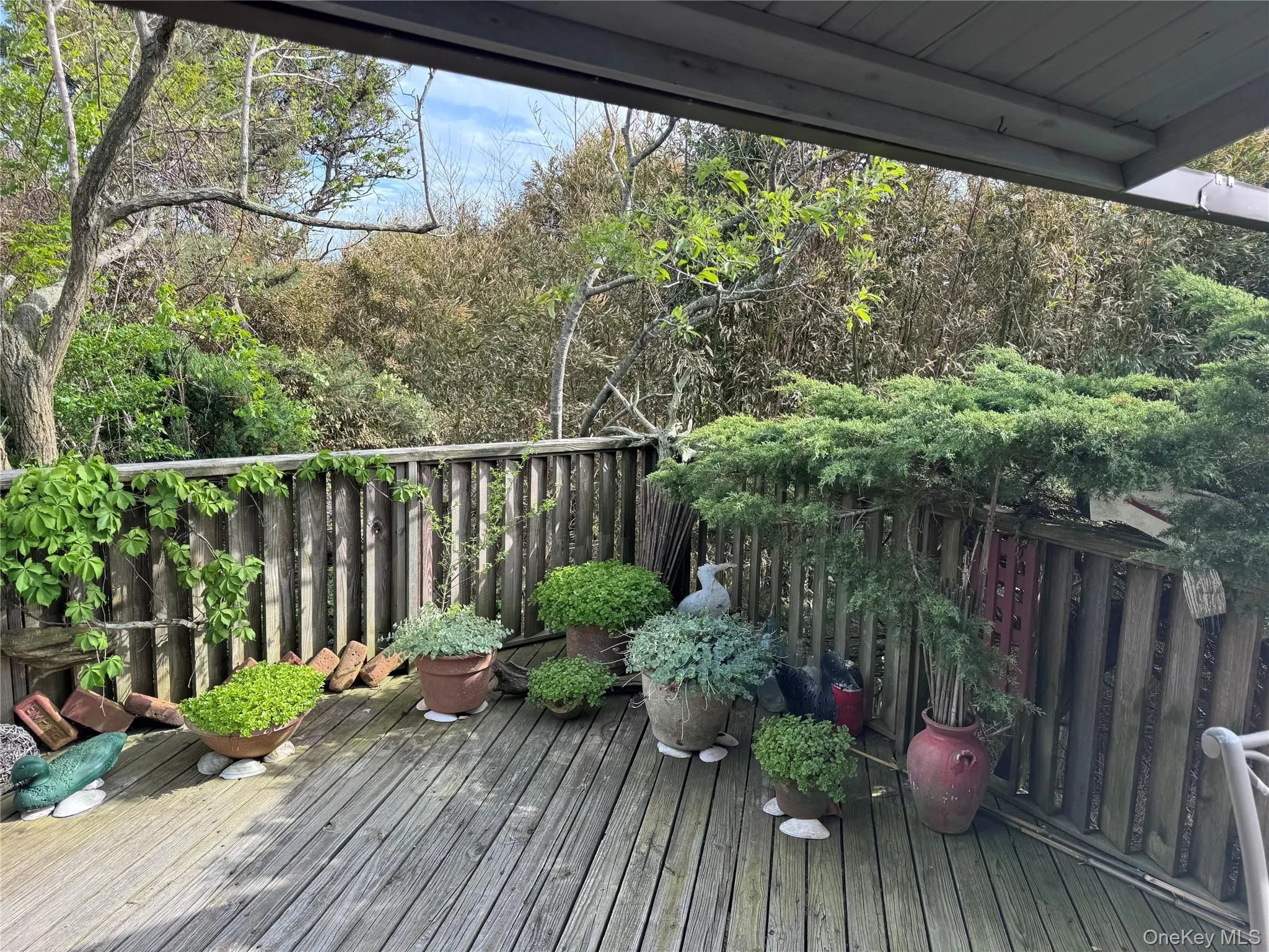 780 Surf Road, Islip, NY, 3 Bedrooms Bedrooms, 7 Rooms Rooms,2 BathroomsBathrooms,Residential,For Rent,Surf,0,1007087 780 Surf Road, Islip, NY, 3 Bedrooms Bedrooms, 7 Rooms Rooms,2 BathroomsBathrooms,Residential,For Rent,Surf,0,1007087