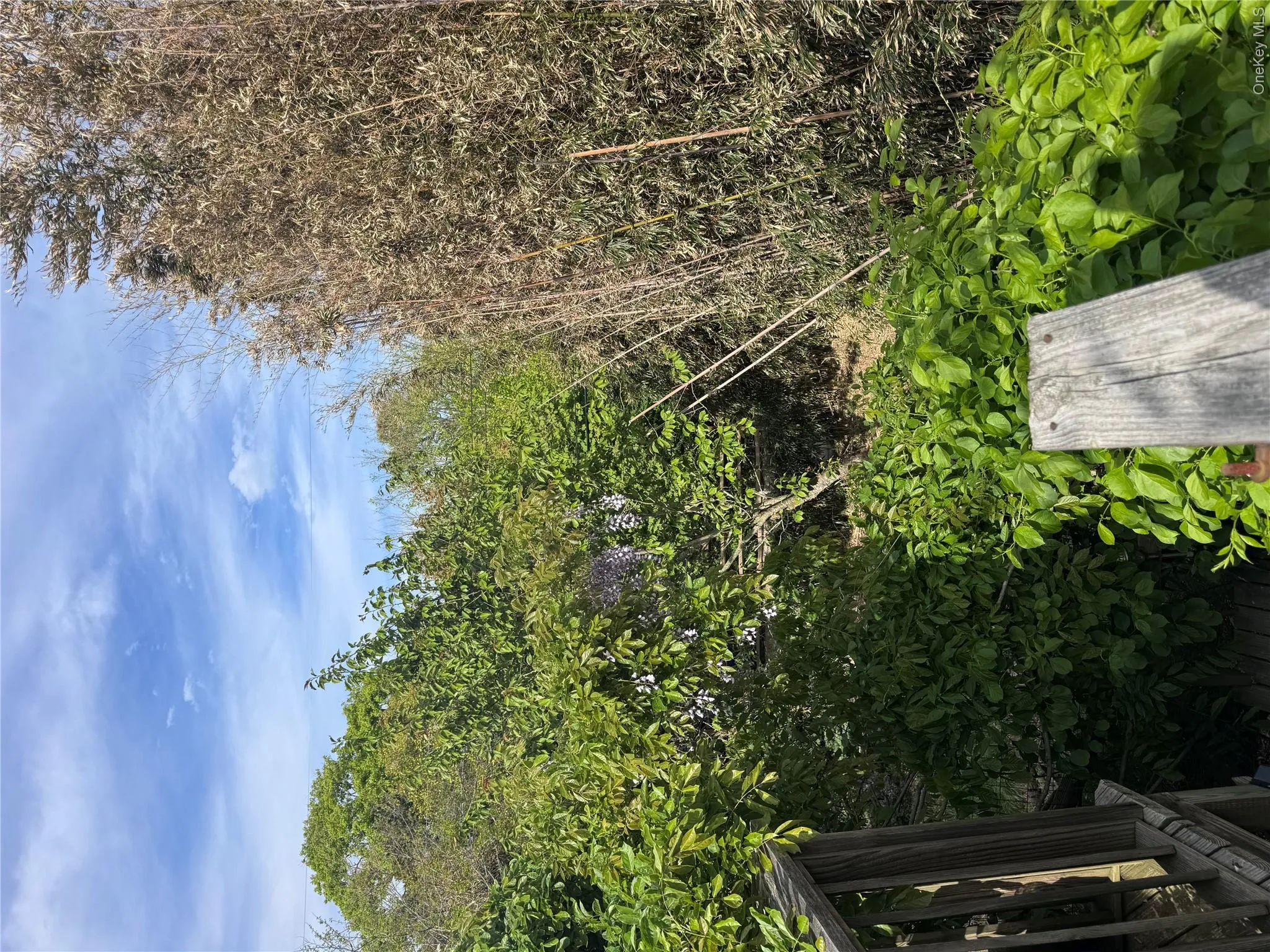 780 Surf Road, Islip, NY, 3 Bedrooms Bedrooms, 7 Rooms Rooms,2 BathroomsBathrooms,Residential,For Rent,Surf,0,1007087 780 Surf Road, Islip, NY, 3 Bedrooms Bedrooms, 7 Rooms Rooms,2 BathroomsBathrooms,Residential,For Rent,Surf,0,1007087