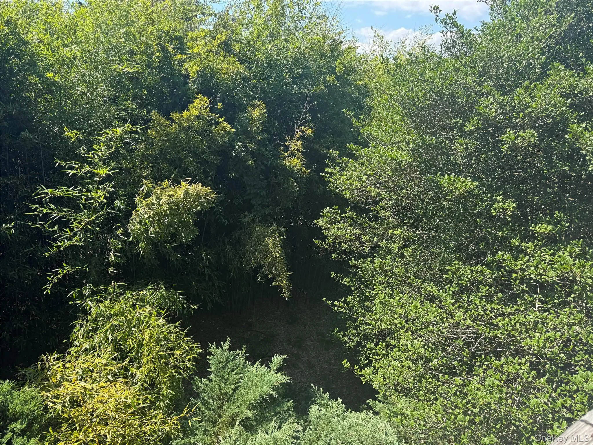 780 Surf Road, Islip, NY, 3 Bedrooms Bedrooms, 7 Rooms Rooms,2 BathroomsBathrooms,Residential,For Rent,Surf,0,1007087 780 Surf Road, Islip, NY, 3 Bedrooms Bedrooms, 7 Rooms Rooms,2 BathroomsBathrooms,Residential,For Rent,Surf,0,1007087