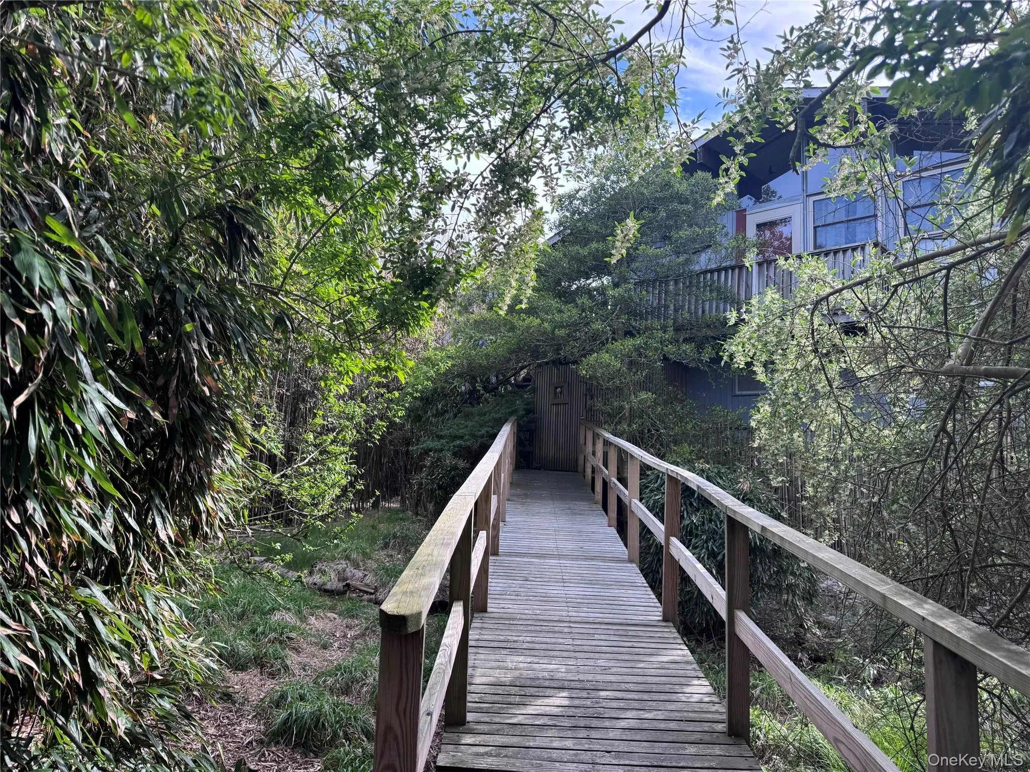 780 Surf Road, Islip, NY, 3 Bedrooms Bedrooms, 7 Rooms Rooms,2 BathroomsBathrooms,Residential,For Rent,Surf,0,1007087 780 Surf Road, Islip, NY, 3 Bedrooms Bedrooms, 7 Rooms Rooms,2 BathroomsBathrooms,Residential,For Rent,Surf,0,1007087