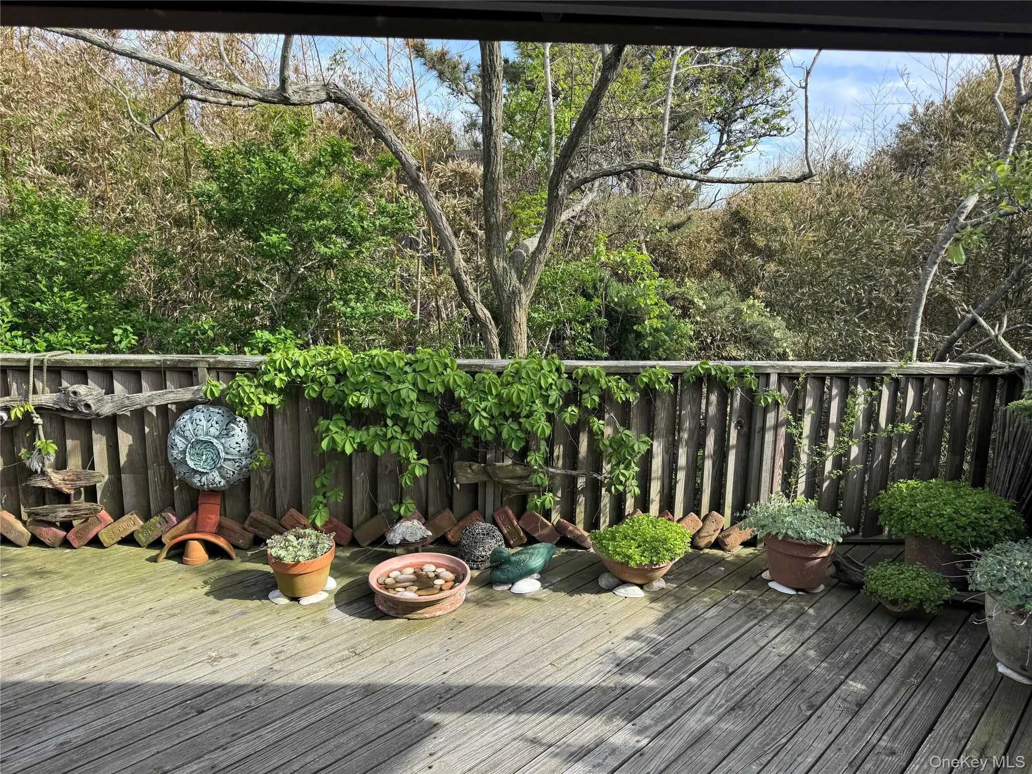 780 Surf Road, Islip, NY, 3 Bedrooms Bedrooms, 7 Rooms Rooms,2 BathroomsBathrooms,Residential,For Rent,Surf,0,1007087 780 Surf Road, Islip, NY, 3 Bedrooms Bedrooms, 7 Rooms Rooms,2 BathroomsBathrooms,Residential,For Rent,Surf,0,1007087