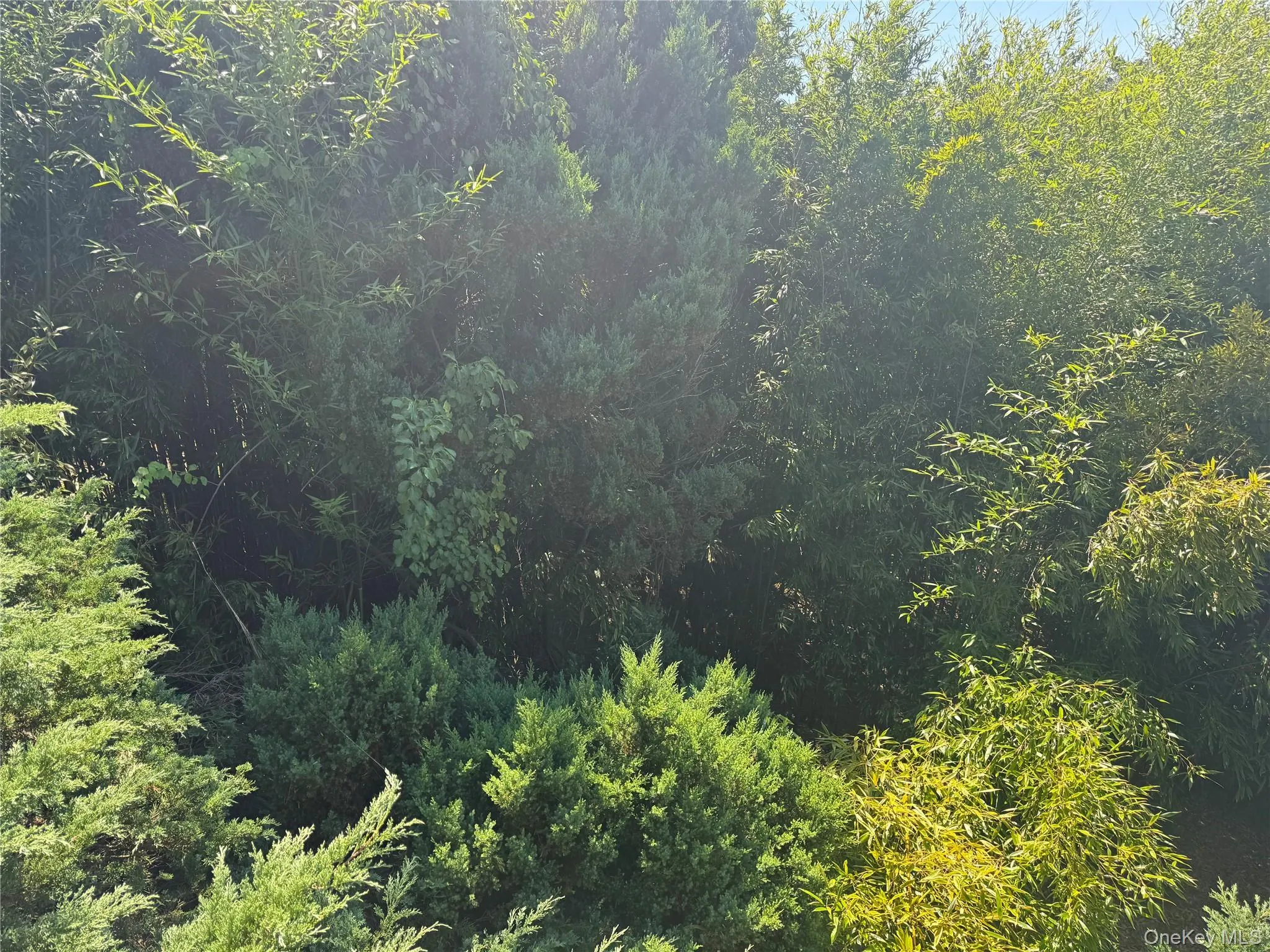 780 Surf Road, Islip, NY, 3 Bedrooms Bedrooms, 7 Rooms Rooms,2 BathroomsBathrooms,Residential,For Rent,Surf,0,1007087 780 Surf Road, Islip, NY, 3 Bedrooms Bedrooms, 7 Rooms Rooms,2 BathroomsBathrooms,Residential,For Rent,Surf,0,1007087
