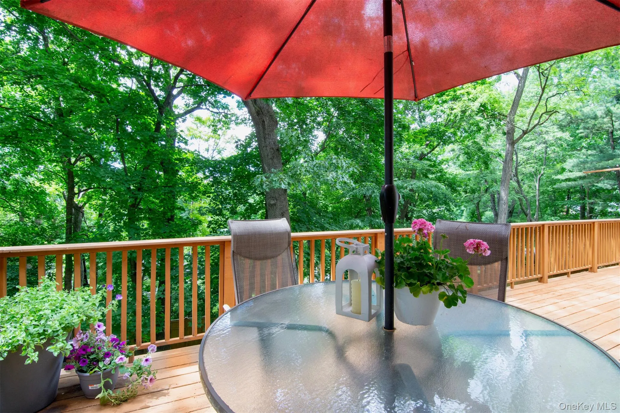 Deck Deck