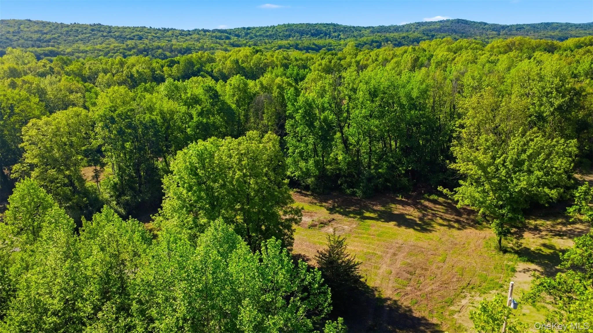 238 Bruceville Road, Marbletown, NY, ,Land,For Rent,Bruceville,0,1007142 238 Bruceville Road, Marbletown, NY, ,Land,For Rent,Bruceville,0,1007142