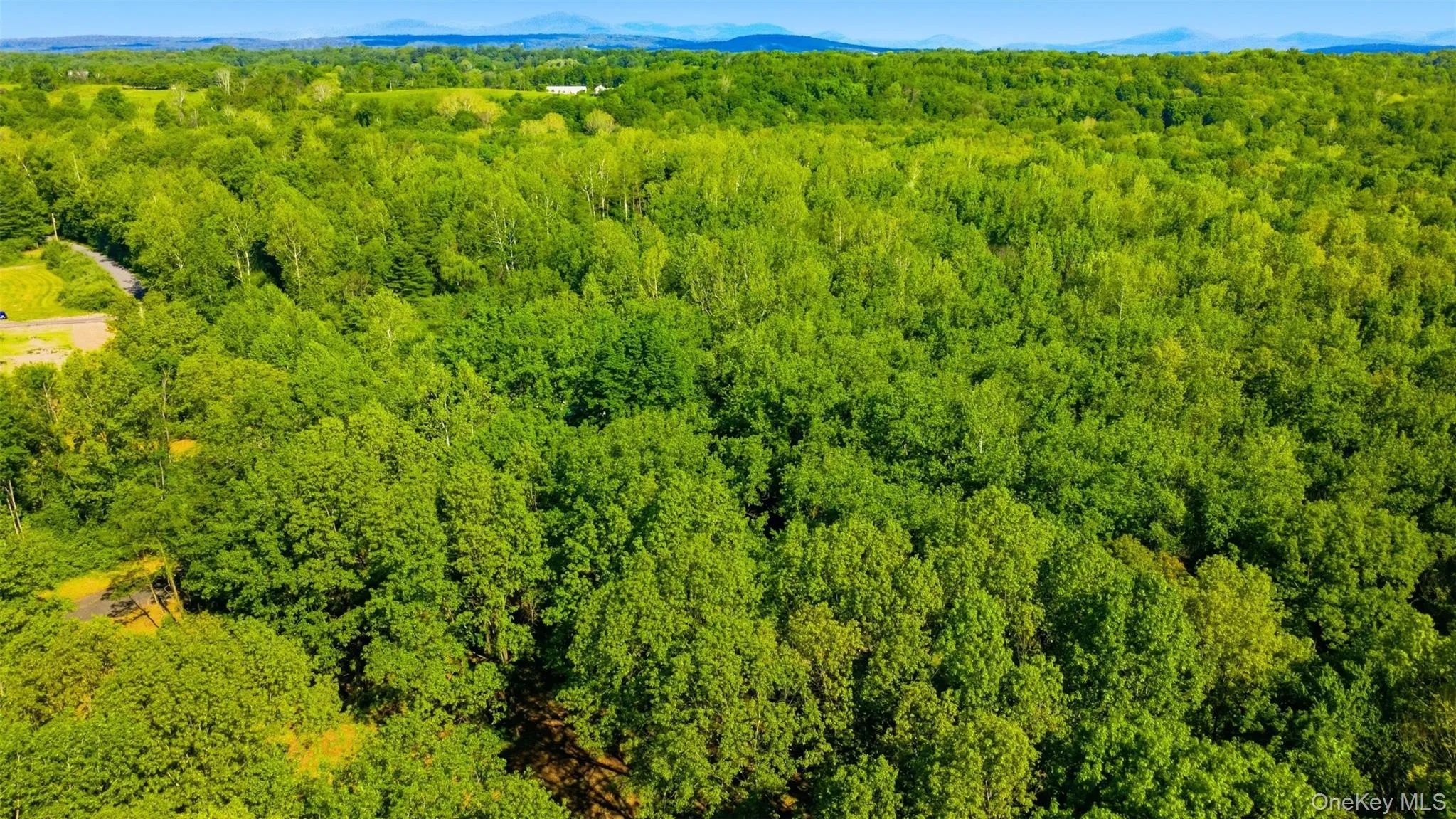 238 Bruceville Road, Marbletown, NY, ,Land,For Rent,Bruceville,0,1007142 238 Bruceville Road, Marbletown, NY, ,Land,For Rent,Bruceville,0,1007142