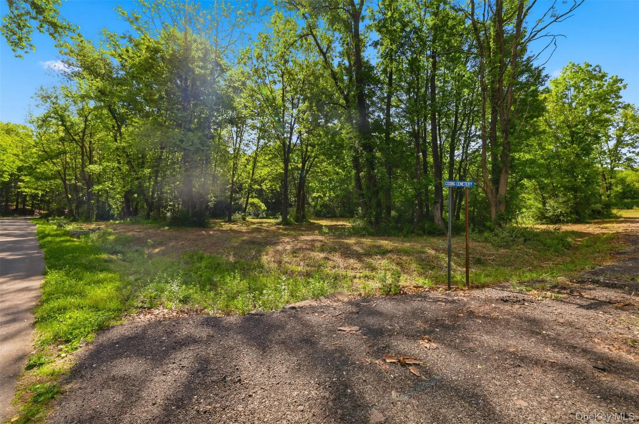 238 Bruceville Road, Marbletown, NY, ,Land,For Rent,Bruceville,0,1007142 238 Bruceville Road, Marbletown, NY, ,Land,For Rent,Bruceville,0,1007142