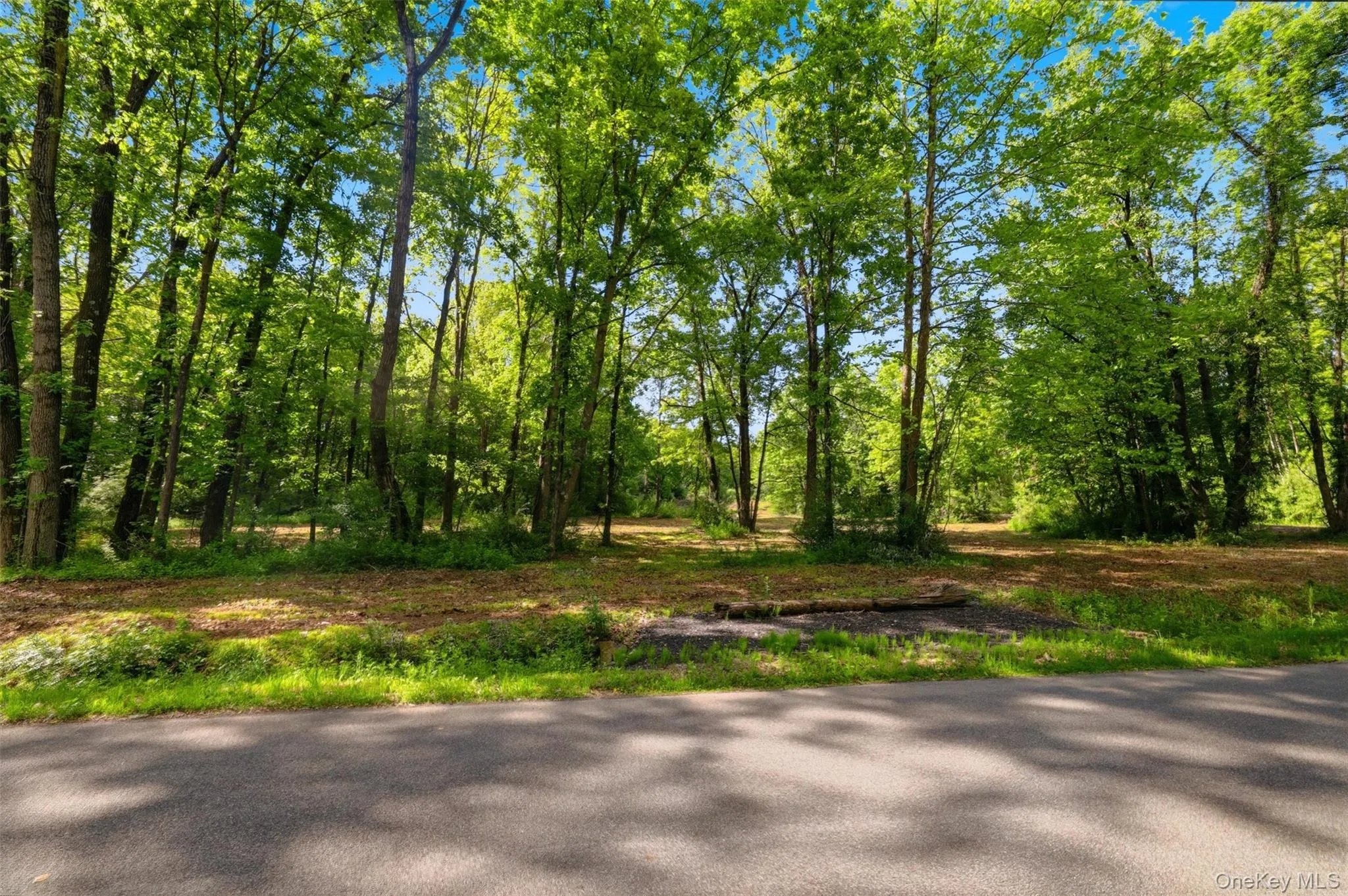 238 Bruceville Road, Marbletown, NY, ,Land,For Rent,Bruceville,0,1007142 238 Bruceville Road, Marbletown, NY, ,Land,For Rent,Bruceville,0,1007142