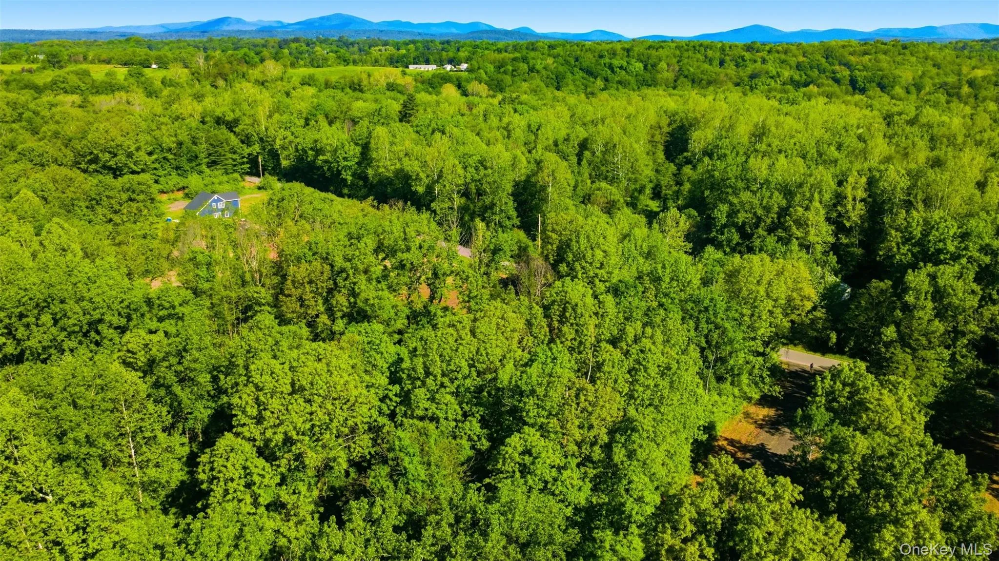 238 Bruceville Road, Marbletown, NY, ,Land,For Rent,Bruceville,0,1007142 238 Bruceville Road, Marbletown, NY, ,Land,For Rent,Bruceville,0,1007142