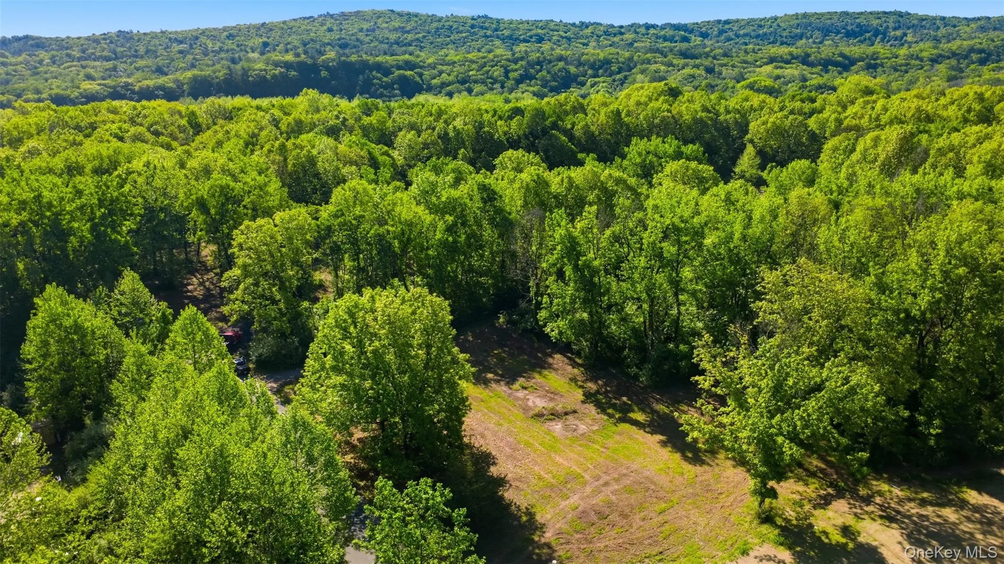 238 Bruceville Road, Marbletown, NY, ,Land,For Rent,Bruceville,0,1007142 238 Bruceville Road, Marbletown, NY, ,Land,For Rent,Bruceville,0,1007142
