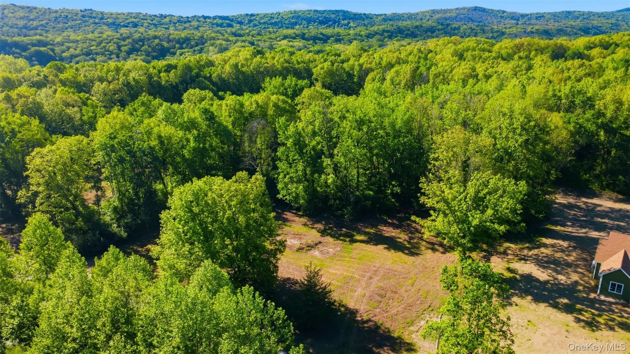238 Bruceville Road, Marbletown, NY, ,Land,For Rent,Bruceville,0,1007142 238 Bruceville Road, Marbletown, NY, ,Land,For Rent,Bruceville,0,1007142