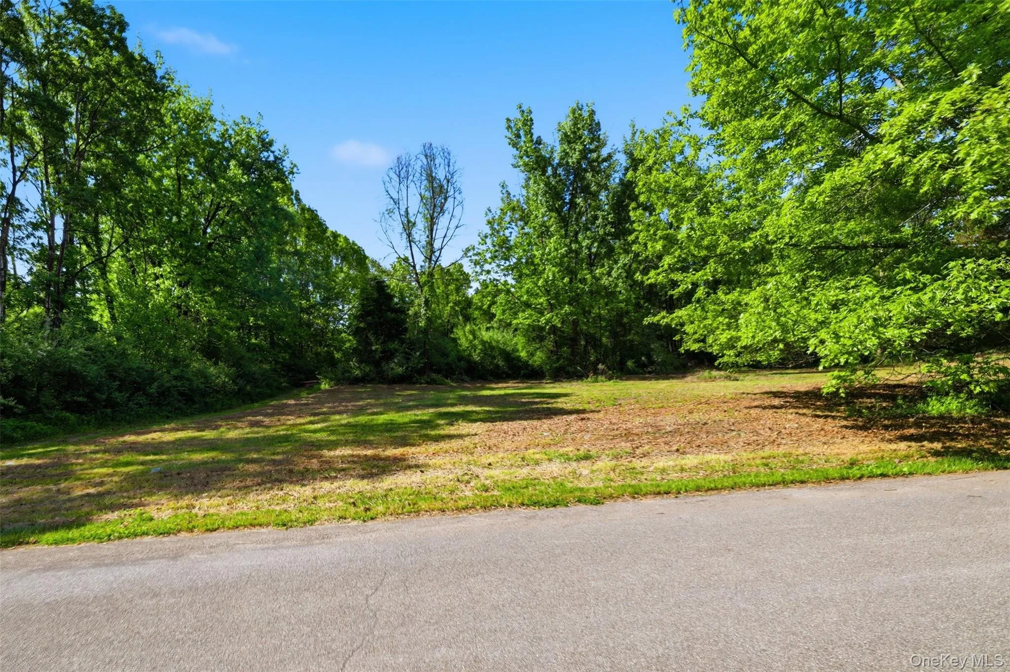 238 Bruceville Road, Marbletown, NY, ,Land,For Rent,Bruceville,0,1007142 238 Bruceville Road, Marbletown, NY, ,Land,For Rent,Bruceville,0,1007142