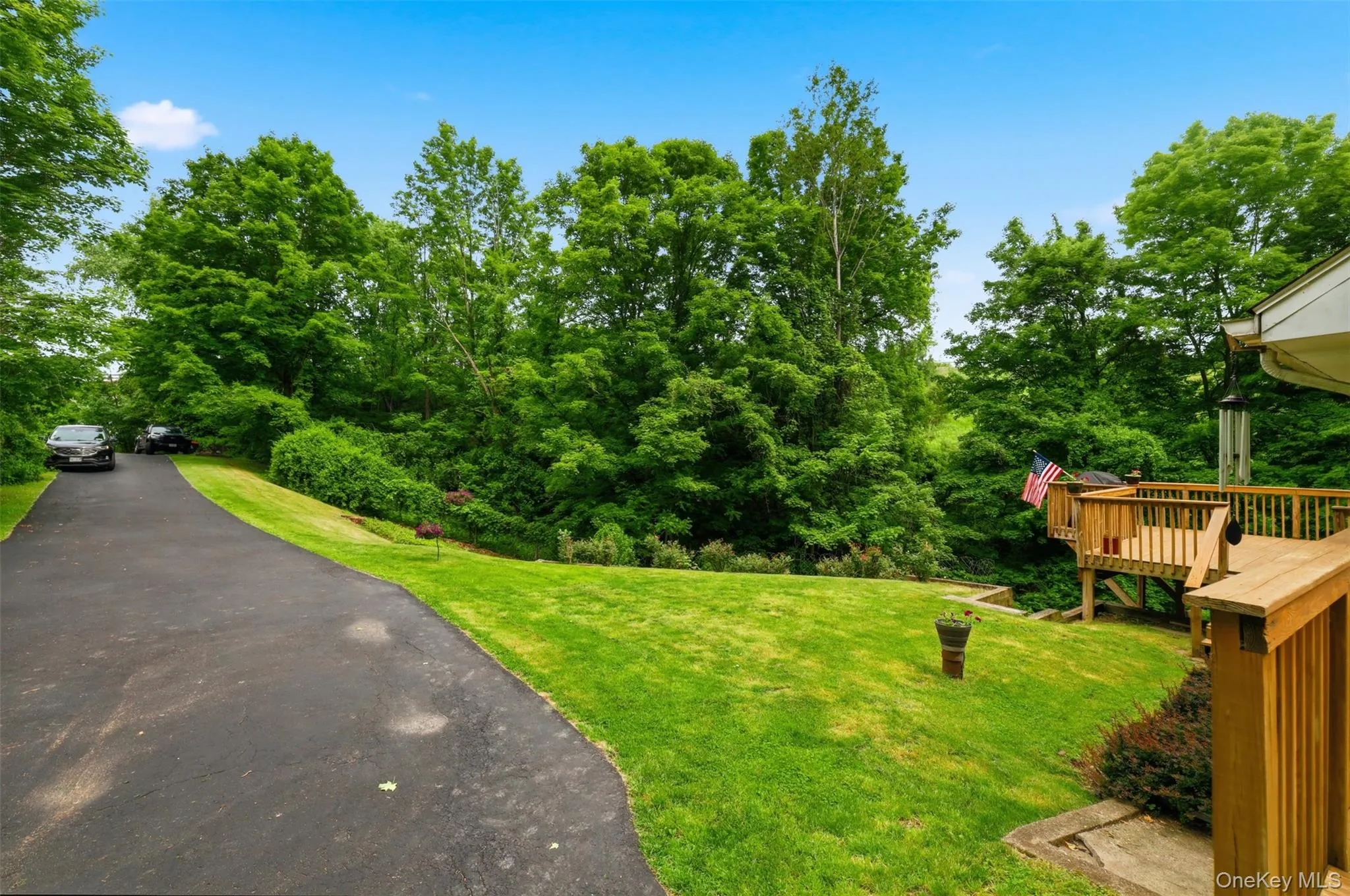Expansive green lawn with mature trees and a private asphalt driveway Expansive green lawn with mature trees and a private asphalt driveway