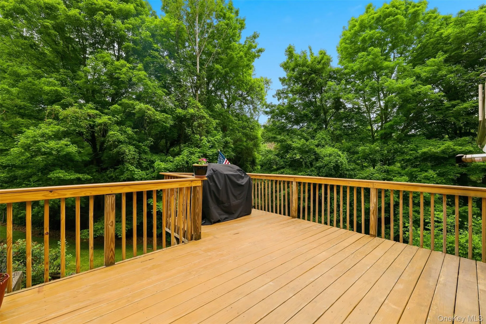 236 Hosner Mountain Road, East Fishkill, NY, 3 Bedrooms Bedrooms, 8 Rooms Rooms,2 BathroomsBathrooms,Residential,For Rent,Hosner Mountain,0,1007167 236 Hosner Mountain Road, East Fishkill, NY, 3 Bedrooms Bedrooms, 8 Rooms Rooms,2 BathroomsBathrooms,Residential,For Rent,Hosner Mountain,0,1007167