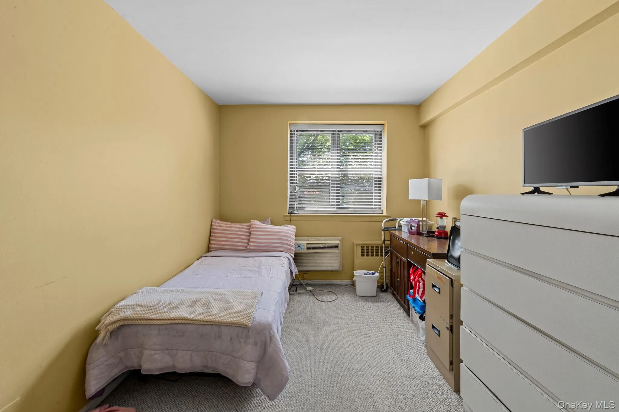 85-10 151 Avenue, New York, NY, 3 Bedrooms Bedrooms, 6 Rooms Rooms,2 BathroomsBathrooms,Residential,For Rent,151,0,1007233 85-10 151 Avenue, New York, NY, 3 Bedrooms Bedrooms, 6 Rooms Rooms,2 BathroomsBathrooms,Residential,For Rent,151,0,1007233