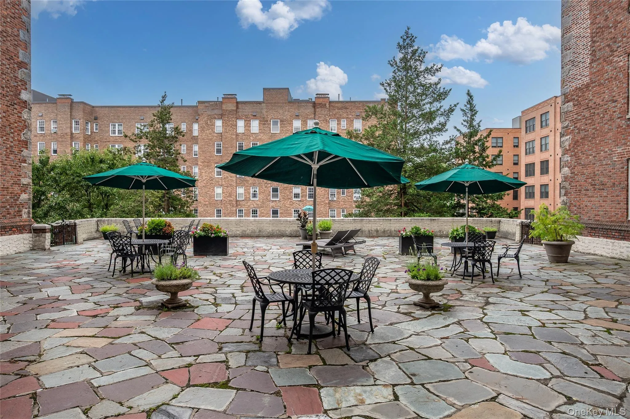 270 Bronxville Road, Yonkers, NY, 1 Bedroom Bedrooms, 4 Rooms Rooms,1 BathroomBathrooms,Residential,For Rent,Bronxville,0,1007240 270 Bronxville Road, Yonkers, NY, 1 Bedroom Bedrooms, 4 Rooms Rooms,1 BathroomBathrooms,Residential,For Rent,Bronxville,0,1007240