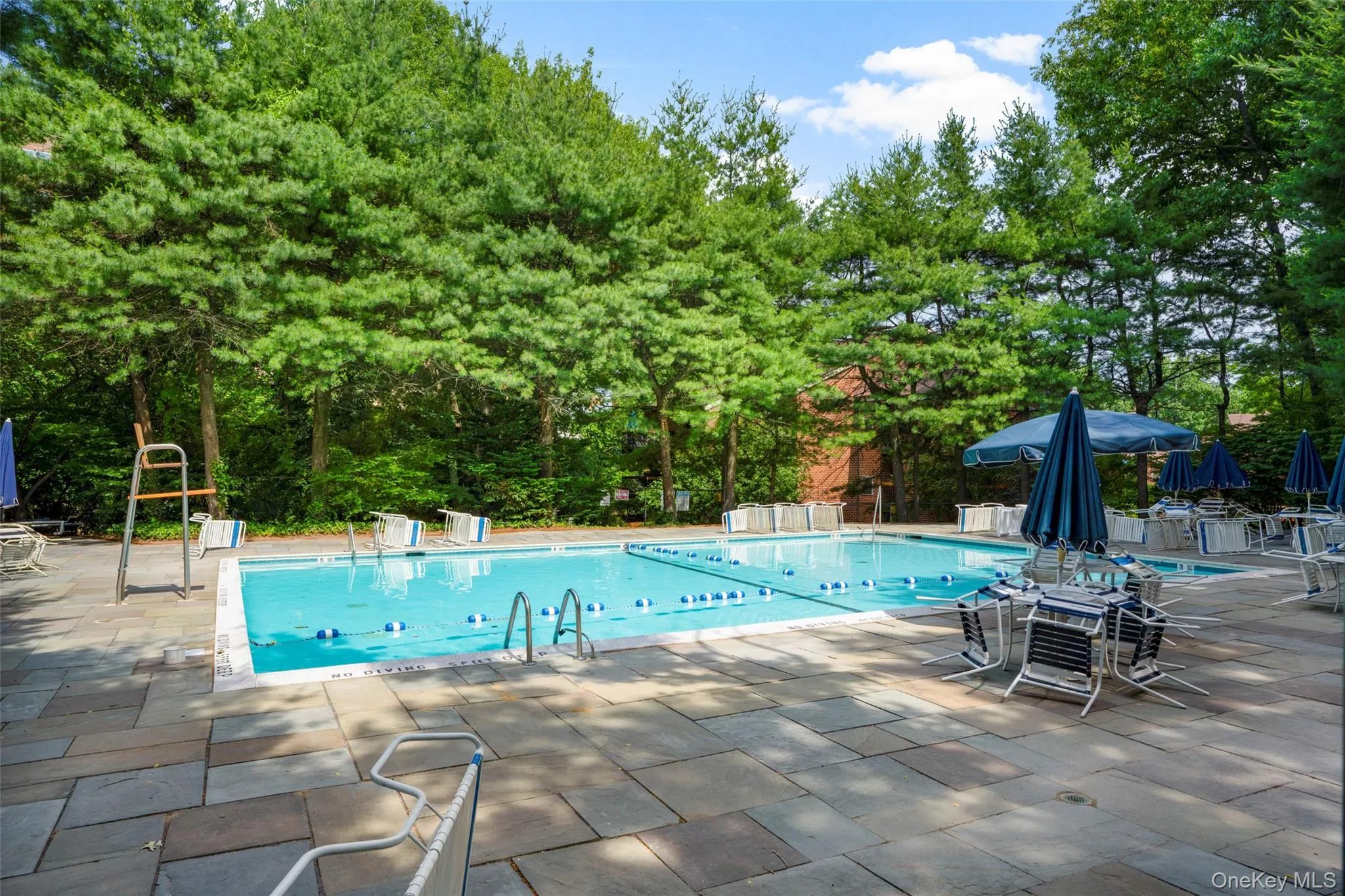 In Ground Pool In Ground Pool