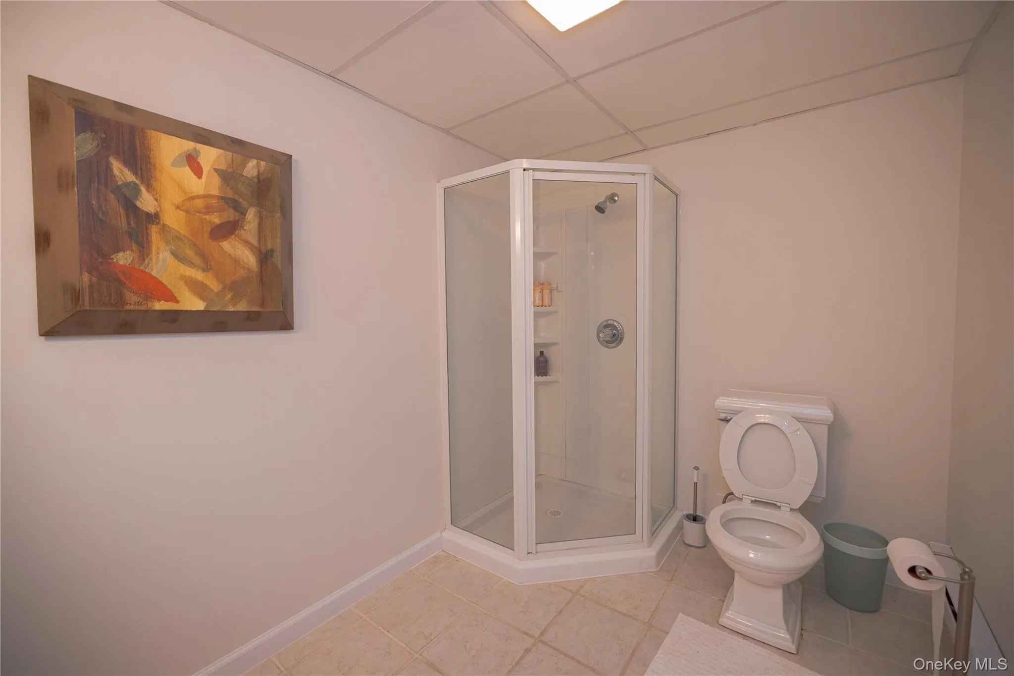 Basement Full Bathroom Basement Full Bathroom