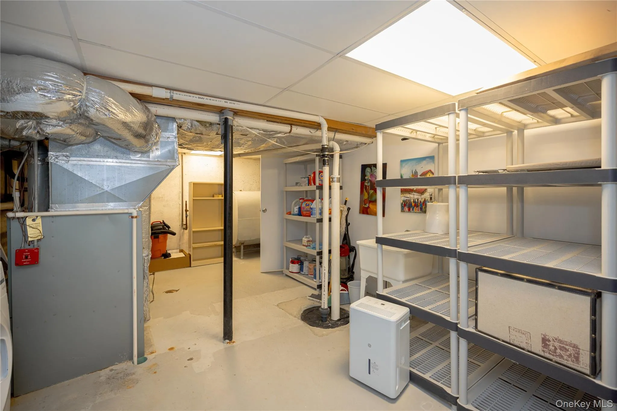 Storage Room in Basement Storage Room in Basement