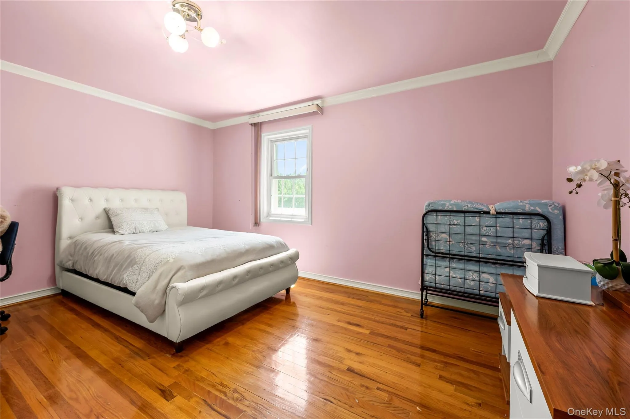 7355 194th Street, New York, NY, 4 Bedrooms Bedrooms, 11 Rooms Rooms,2 BathroomsBathrooms,Residential,For Rent,194th,0,1007273 7355 194th Street, New York, NY, 4 Bedrooms Bedrooms, 11 Rooms Rooms,2 BathroomsBathrooms,Residential,For Rent,194th,0,1007273