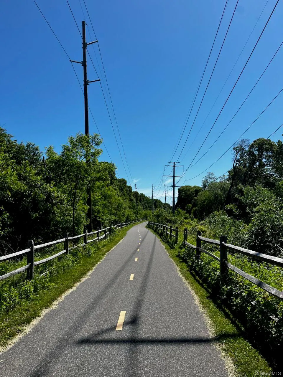 Paved pathway with central yellow dashed lines, bordered by natural wood fencing and lush green foliage Paved pathway with central yellow dashed lines, bordered by natural wood fencing and lush green foliage
